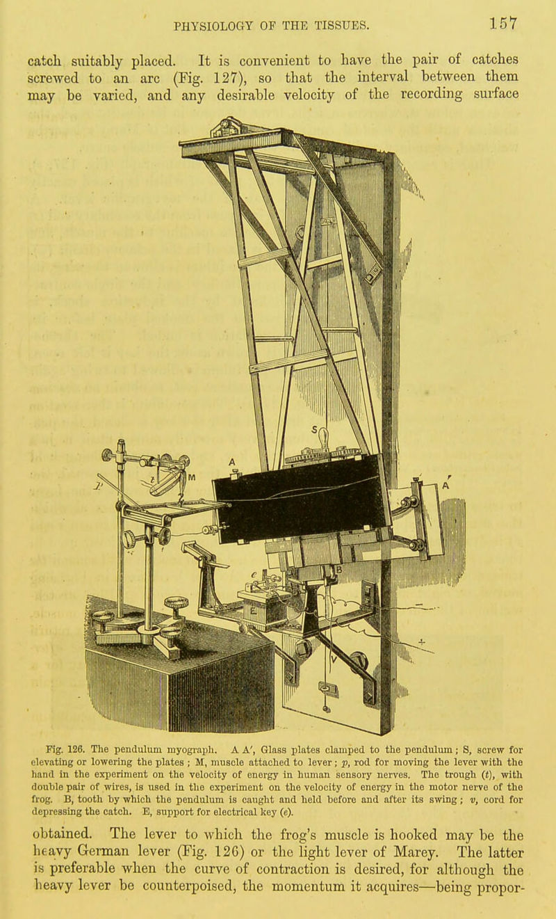 catch suitably placed. It is convenient to have the pair of catches screwed to an arc (Fig. 127), so that the interval between them may be varied, and any desirable velocity of the recording surface Fig. 126. The pendulum myograph. A A', Glass plates clamped to the pendulum; S, screw for elevating or lowering the plates ; M, muscle attached to lever; p, rod for moving the lever with the hand in the experiment on the velocity of energy in human sensory nerves. The trough (t), with double pair of wires, is used in the experiment on the velocity of energy in the motor nerve of the frog. B, tooth by which the pendulum is caught and held before and after its swing; v, cord for depressing the catch. E, support for electrical key (e). obtained. The lever to which the frog's muscle is hooked may be the heavy German lever (Fig. 12G) or the light lever of Marey. The latter is preferable when the curve of contraction is desired, for although the heavy lever be counterpoised, the momentum it acquires—being proper-