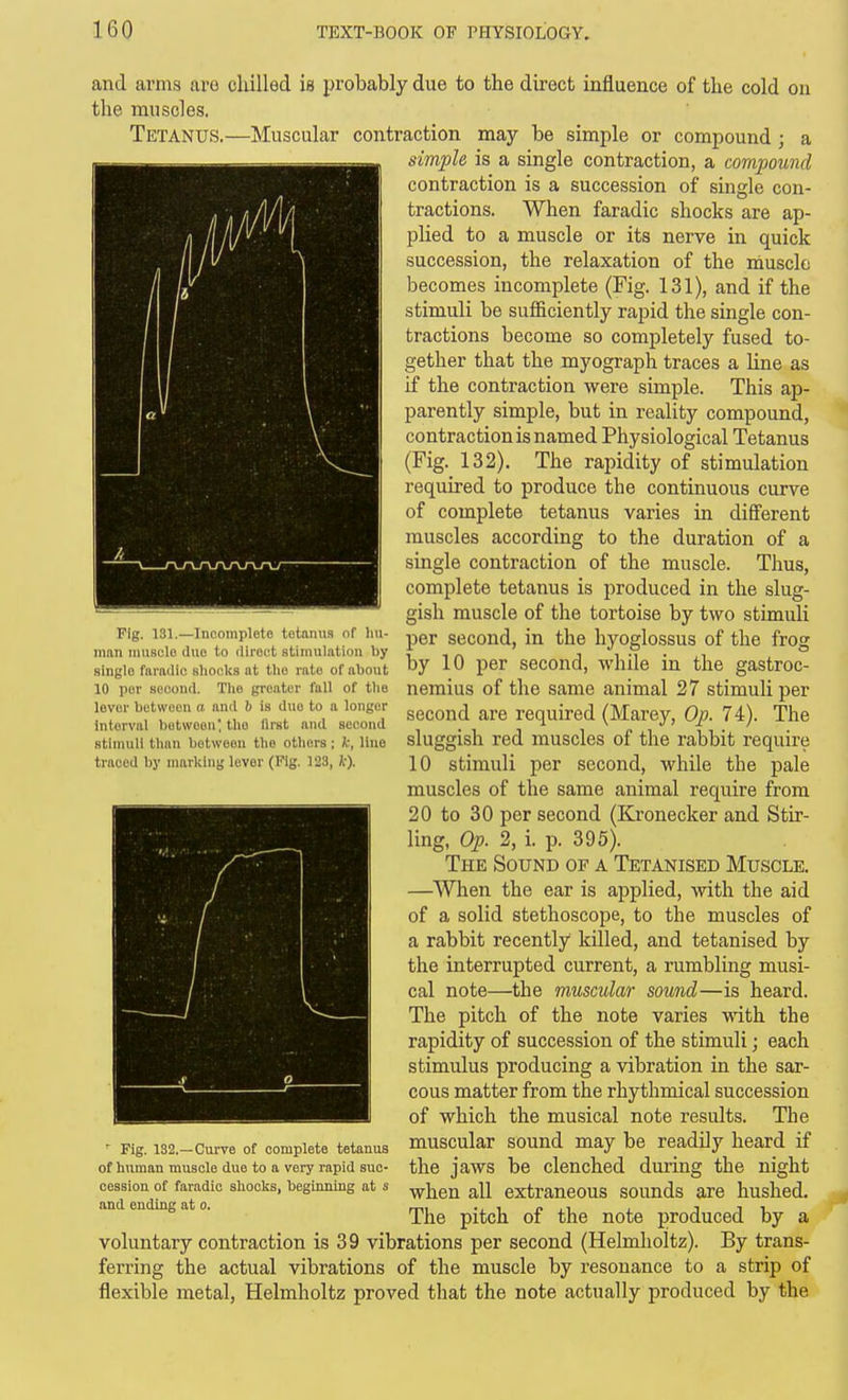 and arms are cliilled is probably due to the direct influence of the cold on the muscles. Tetanus.—Muscular contraction may be simple or compound ; a simple is a single contraction, a compound contraction is a succession of single con- tractions. When faradic shocks are ap- plied to a muscle or its nerve in quick succession, the relaxation of the muscle becomes incomplete (Fig. 131), and if the stimuli be sufficiently rapid the single con- tractions become so completely fused to- gether that the myograph traces a line as if the contraction were simple. This ap- parently simple, but in reality compound, contraction is named Physiological Tetanus (Fig. 132). The rapidity of stimulation required to produce the continuous curve of complete tetanus varies in different muscles according to the duration of a single contraction of the muscle. Thus, complete tetanus is produced in the slug- gish muscle of the tortoise by two stimuli per second, in the hyoglossus of the frog by 10 per second, while in the gastroc- nemius of the same animal 27 stimuli per second are required (Marey, Op. 74). The sluggish red muscles of the rabbit require 10 stimuli per second, while the pale muscles of the same animal require from 20 to 30 per second (Kronecker and Stir- ling, Op. 2, i. p. 395). The Sound of a Tetanised Muscle. —When the ear is applied, with the aid of a solid stethoscope, to the muscles of a rabbit recently killed, and tetanised by the interrupted current, a rumbling musi- cal note—the muscular sound—is heard. The pitch of the note varies •ndth the rapidity of succession of the stimuli; each stimulus producing a vibration in the sar- cous matter from the rhythmical succession of which the musical note results. The muscular sound may be readily heard if the jaws be clenched during the night when all extraneous sounds are hushed. The pitch of the note produced by a voluntary contraction is 39 vibrations per second (Helmholtz). By trans- ferring the actual vibrations of the muscle by resonance to a strip of flexible metal, Helmholtz proved that the note actually produced by the Fig. 131.—Incomplete tetanus nf lui- man muscle duo to direct stimulation by single fivriidic shocks at the rate of about 10 per second. The greater fall of tlie lever between a and h is duo to a longer interval between; the llrst and second stimuli tlinn between the others; k, line traced by marking lever (Pig. 123, k). ' Fig. 132.—Curve of complete tetanus of human muscle due to a very rapid suc- cession of faradic shocks, beginning at s and ending at o.