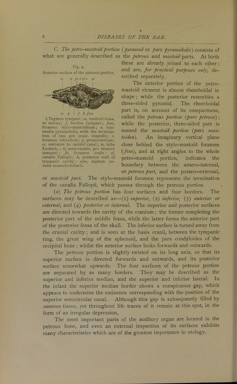 Fig. 4. Anterior surface of the petrous portion. /<• tt Jo t cf c 10 cc p r f h fsm t, Tegmen t3'mpani; w, mastoid fossa, or sulcus; f fundus tympani; fsm, foramen stylo-mastoideum; e, emi- nentia pyramidalis, with the termina- tion of can. pro muse, stapedis; r, foramen rotundum; p, promontorium ; cc, entrance to carotid canal; te, tuba Eustach.; tt, semi-canalis pro tensore tympani ; fo, foramen ovale ; cf, canalis Fallopii; h, posterior wall of tympanic cavity; sem, septum ca- nalis musculo-tubarii. C. The petro-mastoid portion ( pyramid or pars pyramidalis) consists of what are generally described as the petrous and mastoid parts. At birth these are already joined to each other; and are, for practical purposes only, de- scribed separately. The anterior portion of the petro- mastoid element is almost rhomboidal in shape; while the posterior resembles a three-sided pyramid. The rhomboidal part is, on account of its compactness, called the petrous portion (pars petrosa); while the posterior, three-sided part is named the mastoid portion (pars mas- toidea). An imaginary vertical plane close behind the stylo-mastoid foramen {fsm), and at right angles to the whole petro-mastoid portion, indicates the boundary between the antero-internal, or petrous part, and the postero-external, or mastoid part. The stylo-mastoid foramen represents the termination of the canalis Fallopii, which passes through the petrous portion. (a) The petrous portion has four surfaces and four borders. The surfaces may be described as—(1) superior, (2) inferior, (3) anterior or external, and (4) posterior or internal. The superior and posterior surfaces are directed towards the cavity of the cranium; the former completing the posterior part of the middle fossa, while the latter forms the anterior part of the posterior fossa of the skull. The inferior surface is turned away from the cranial cavity; and is seen at the basis cranii, between the tympanic ring, the great wing of the sphenoid, and the pars condyloidea of the occipital bone ; whilst the anterior surface looks forwards and outwards. The petrous portion is slightly twisted on its long axis, so that its superior surface is directed forwards and outwards, and its posterior surface somewhat upwards. The four surfaces of the petrous portion are separated by as many borders. They may be described as the superior and inferior median, and the superior and inferior lateral. In the infant the superior median border shows a conspicuous gap, which appears to undermine the eminence corresponding with the position of the superior semicircular canal. Although this gap is subsequently filled by osseous tissue, yet throughout life traces of it remain at this spot, in the form of an irregular depression. The most important parts of the auditor}' organ are located in the petrous bone, and even an external inspection of its surfaces exhibits many characteristics which are of the greatest importance in otology.