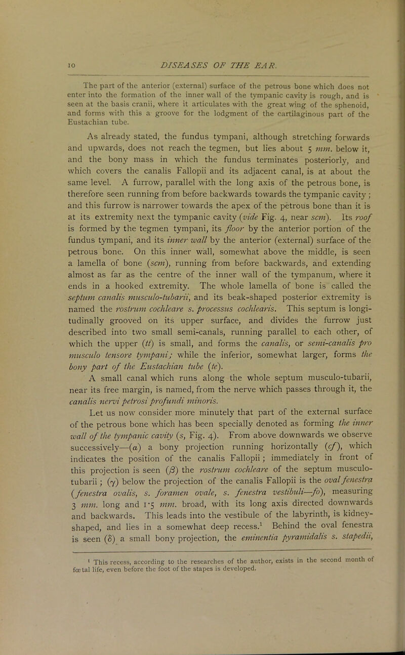 The part of the anterior (external) surface of the petrous bone which does not enter into the formation of the inner wall of the tympanic cavity is rough, and is seen at the basis cranii, where it articulates with the great wing of the sphenoid, and forms with this a groove for the lodgment of the cartilaginous part of the Eustachian tube. As already stated, the fundus tympani, although stretching forwards and upwards, does not reach the tegmen, but lies about 5 mm. below it, and the bony mass in which the fundus terminates posteriorly, and which covers the canalis Fallopii and its adjacent canal, is at about the same level. A furrow, parallel with the long axis of the petrous bone, is therefore seen running from before backwards towards the tympanic cavity ; and this furrow is narrower towards the apex of the petrous bone than it is at its extremity next the tympanic cavity (vide Fig. 4, near sent), its roof is formed by the tegmen tympani, its floor by the anterior portion of the fundus tympani, and its inner wall by the anterior (external) surface of the petrous bone. On this inner wall, somewhat above the middle, is seen a lamella of bone (sem), running from before backwards, and extending almost as far as the centre of the inner wall of the tympanum, where it ends in a hooked extremity. The whole lamella of bone is called the septum canalis musculo-tubarii, and its beak-shaped posterior extremity is named the rostrum cochleare s. processus cochlearis. This septum is longi- tudinally grooved on its upper surface, and divides the furrow just described into two small semi-canals, running parallel to each other, of which the upper (tf) is small, and forms the canalis, or semi-canalis pro musculo tensore tympani; while the inferior, somewhat larger, forms the bony part of the Eustachian tube (te). A small canal which runs along the whole septum musculo-tubarii, near its free margin, is named, from the nerve which passes through it, the canalis nervi petrosi profundi minoris. Let us now consider more minutely that part of the external surface of the petrous bone which has been specially denoted as forming the inner wall of the tympanic cavity (s, Fig. 4). From above downwards we observe successively—(a) a bony projection running horizontally (cf), which indicates the position of the canalis Fallopii; immediately in front of this projection is seen (/3) the rostrum cochleare of the septum musculo- tubarii ; (7) below the projection of the canalis Fallopii is the oval fenestra (fenestra ovalis, s. foramen ovale, s. fenestra vestibuli—fo), measuring 3 mm. long and 1*5 mm. broad, with its long axis directed downwards and backwards. This leads into the vestibule of the labyrinth, is kidney- shaped, and lies in a somewhat deep recess.1 Behind the oval fenestra is seen (8) a small bony projection, the eminentia pyramidalis s. stapedn, 1 This recess, according to the researches of the author, exists in the second month ol foetal life, even before the foot of the stapes is developed.
