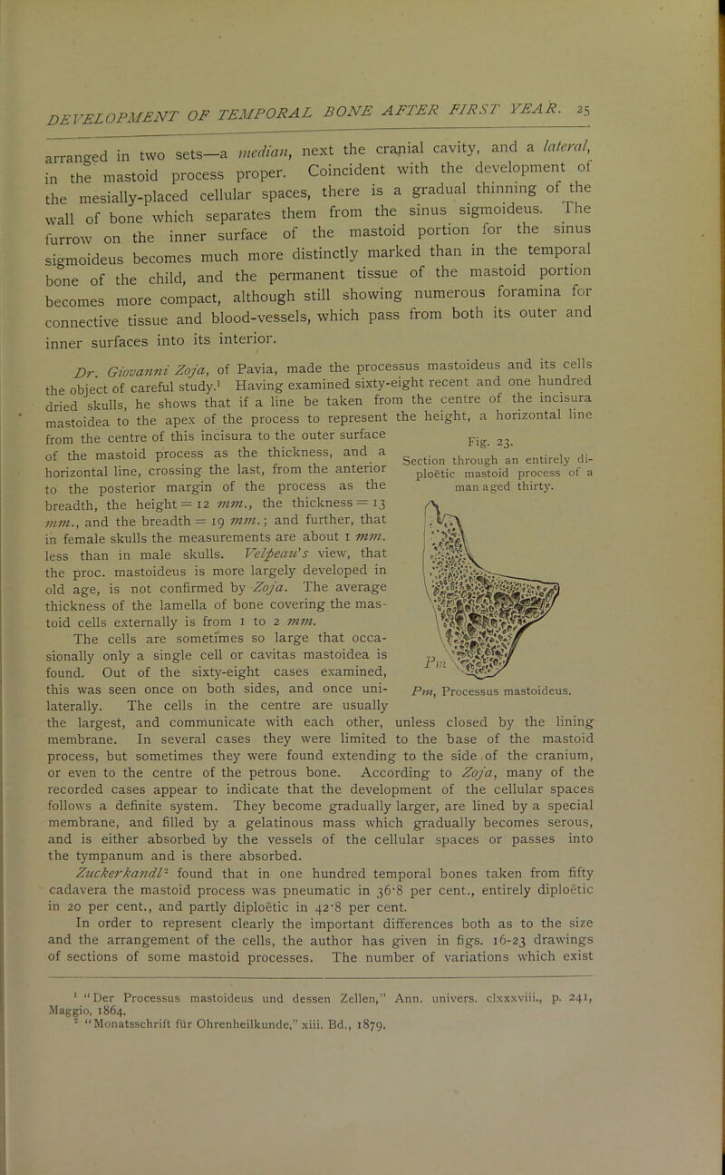 arranged in two sets-a median, next the cranial cavity, and a lateral, in the mastoid process proper. Coincident with the development of the mesially-placed cellular spaces, there is a gradual thinning of the wall of bone which separates them from the sinus, sigmoideus. he furrow on the inner surface of the mastoid portion for the sinus si-moideus becomes much more distinctly marked than in the temporal bone of the child, and the permanent tissue of the mastoid portion becomes more compact, although still showing numerous foramina for connective tissue and blood-vessels, which pass from both its outer and inner surfaces into its interior. Fig. 23. Section through an entirely di- ploetic mastoid process of a managed thirtj’. Dr Giovanni Zoja, of Pavia, made the processus mastoideus and its cells the object of careful study.1 Having examined sixty-eight recent and one hundred dried skulls, he shows that if a line be taken from the centre of the incisura mastoidea to the apex of the process to represent the height, a horizontal line from the centre of this incisura to the outer surface of the mastoid process as the thickness, and a horizontal line, crossing the last, from the anterior to the posterior margin of the process as the breadth, the height =12 mm., the thickness =13 mm., and the breadth = 19 mm.; and further, that in female skulls the measurements are about 1 mm. less than in male skulls. Veljeazz's view, that the proc. mastoideus is more largely developed in old age, is not confirmed by Zoja. The average thickness of the lamella of bone covering the mas- toid cells externally is from 1 to 2 mm. The cells are sometimes so large that occa- sionally only a single cell or cavitas mastoidea is found. Out of the sixty-eight cases examined, this was seen once on both sides, and once uni- laterally. The cells in the centre are usually the largest, and communicate with each other, membrane. In several cases they were limited to the base of the mastoid process, but sometimes they were found extending to the side of the cranium, or even to the centre of the petrous bone. According to Zoja, many of the recorded cases appear to indicate that the development of the cellular spaces follows a definite system. They become gradually larger, are lined by a special membrane, and filled by a gelatinous mass which gradually becomes serous, and is either absorbed by the vessels of the cellular spaces or passes into the tympanum and is there absorbed. Zuckerkandl2 found that in one hundred temporal bones taken from fifty cadavera the mastoid process was pneumatic in 36-8 per cent., entirely diploetic in 20 per cent., and partly diploetic in 42^8 per cent. In order to represent clearly the important differences both as to the size and the arrangement of the cells, the author has given in figs. 16-23 drawings of sections of some mastoid processes. The number of variations which exist unless closed by the lining 1 “Der Processus mastoideus und dessen Zellen,” Ann. univers. clxxxviii., p. 241, Maggio, 1864. 2 “ Monatsschrift fur Ohrenheilkunde.” xiii. Bd., 1879.