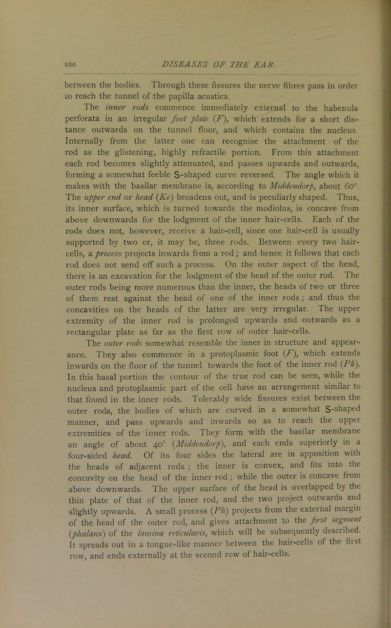 between the bodies. Through these fissures the nerve fibres pass in order to reach the tunnel of the papilla acustica. The inner rods commence immediately external to the habenula perforata in an irregular foot plate (F), which extends for a short dis- tance outwards on the tunnel floor, and which contains the nucleus. Internally from the latter one can recognise the attachment of the rod as the glistening, highly refractile portion. From this attachment each rod becomes slightly attenuated, and passes upwards and outwards, forming a somewhat feeble S-shaped curve reversed. The angle which it makes with the basilar membrane is, according to Middendorp, about 6o°. The upper end or head (Ke) broadens out, and is peculiarly shaped. Thus, its inner surface, which is turned towards the modiolus, is concave from above downwards for the lodgment of the inner hair-cells. Each of the rods does not, however, receive a hair-cell, since one hair-cell is usually supported by two or, it may be, three rods. Between every two hair- cells, a process projects inwards from a rod; and hence it follows that each rod does not send off such a process. On the outer aspect of the head, there is an excavation for the lodgment of the head of the outer rod. The outer rods being more numerous than the inner, the heads of two or three of them rest against the head of one of the inner rods; and thus the concavities on the heads of the latter are very irregular. The upper extremity of the inner rod is prolonged upwards and outwards as a rectangular plate as far as the first row of outer hair-cells. The outer rods somewhat resemble the inner in structure and appear- ance. They also commence in a protoplasmic foot (i7), which extends inwards on the floor of the tunnel towards the foot of the inner rod (Pk). In this basal portion the contour of the true rod can be seen, while the nucleus and protoplasmic part of the cell have an arrangement similar to that found in the inner rods. Tolerably wide fissures exist between the outer rods, the bodies of which are curved in a somewhat S-shaPed manner, and pass upwards and inwards so as to reach the upper extremities of the inner rods. They form with the basilar membrane an angle of about 40° (Middendorp), and each ends superiorly in a four-sided head. Of its four sides the lateral are in apposition with the heads of adjacent rods ; the inner is convex, and fits into the concavity on the head of the inner rod ; while the outer is concave from above downwards. The upper surface of the head is overlapped by the thin plate of that of the inner rod, and the two project outwards and slightly upwards. A small process (Ph) projects from the external margin of the head of the outer rod, and gives attachment to the first segment (phalanx) of the lamina reticularis, which will be subsequently desciibed. It spreads out in a tongue-like manner between the hair-cells of the first row, and ends externally at the second row of hair-cells.