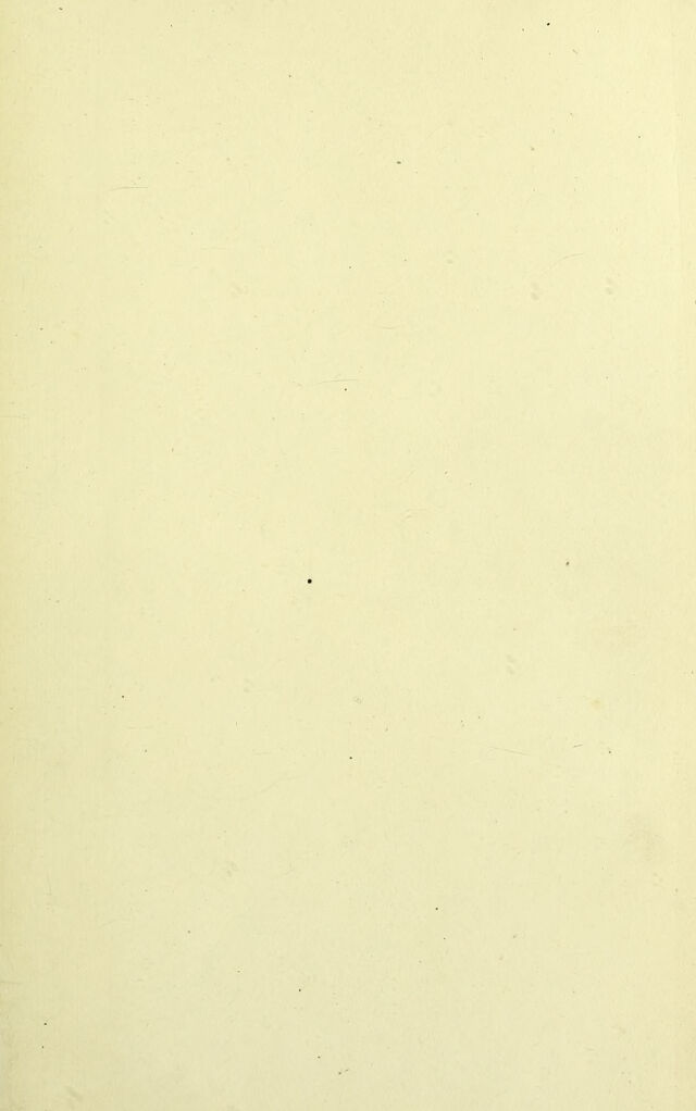 digitised image 3