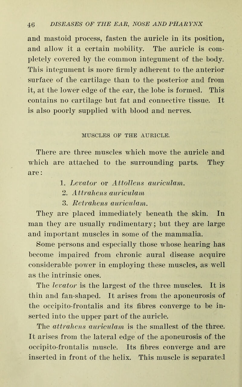 and mastoid process, fasten the auricle in its position, and allow it a certain mobility. The auricle is com- pletely covered by the common integument of the body. This integument is more firmly adherent to the anterior surface of the cartilage than to the posterior and from it, at the lower edge of the ear, the lobe is formed. This contains no cartilage but fat and connective tissue. It is also poorly supplied with blood and nerves. MUSCLES OF THE AURICLE. There are three muscles which move the auricle and which are attached to the surrounding parts. They are: 1. Levator or Attollens auriculam. 2. Attrahens auriculam 3. Rctrahens auriculam. They are placed immediately beneath the skin. In man they are usually rudimentary; but they are large and important muscles in some of the mammalia. Some persons and especially those whose hearing has become impaired from chronic aural disease acquire considerable power in employing these muscles, as well as the intrinsic ones. The levator is the largest of the three muscles. It is thin and fan-shaped. It arises from the aponeurosis of the occ-ipito-frontalis and its fibres converge to be in- serted into the upper part of the auricle. The attrahens auriculam is the smallest of the three. It arises from the lateral edge of the aponeurosis of the oc-cipito-frontalis muscle. Its fibres converge and are inserted in front of the helix. This muscle is separated