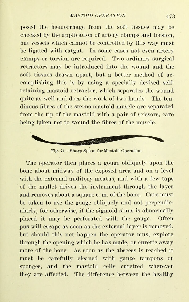 posed the haemorrhage from the soft tissues may be checked by the application of artery clamps and torsion, but vessels which cannot be controlled by this way must be ligated with catgut. In some cases not even artery clamps or torsion are required. Two ordinary surgical retractors may be introduced into the wound and the soft tissues drawn apart, but a better method of ac- complishing this is by using a specially devised self- retaining mastoid retractor, which separates the wound quite as well and does the work of two hands. The ten- dinous fibres of the sterno-mastoid muscle are separated from the tip of the mastoid with a pair of scissors, care being taken not to wound the fibres of the muscle. Fig. 74.—Sharp Spoon for Mastoid Operation. The operator then places a. gouge obliquely upon the bone about midway of the exposed area and on a level with the external auditory meatus, and with a few taps of the mallet drives the instrument through the layer and removes about a square c. m. of the bone. Care must be taken to use the gouge obliquely and not perpendic- ularly, for otherwise, if the sigmoid sinus is abnormally placed it may be perforated with the gouge. Often pus will escape as soon as the external layer is removed, but should this not happen the operator must explore through the opening which lie has made, or curette away more of the bone. As soon as the abscess is reached it must be carefully cleaned with gauze tampons or sponges, and the mastoid cells curetted wherever they are affected. The difference between the healthy