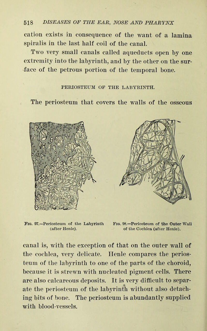 cation exists in consequence of the want of a lamina spiralis in the last half coil of the canal. Two very small canals called aqueducts open by one extremity into the labyrinth, and by the other on the sur- face of the petrous portion of the temporal bone. PERIOSTEUM OF THE LABYRINTH. The periosteum that covers the walls of the osseous Fig. 97.—Periosteum of the Labyrinth (after Henle). Fig. 98.—Periosteum of the Outer Wall of the Cochlea (after Henle). canal is, with the exception of that on the outer wall of the cochlea, very delicate. Henle compares the perios- teum of the labyrinth to one of the parts of the choroid, because it is strewn with nucleated pigment cells. There are also calcareous deposits. It is very difficult to separ- ate the periosteum of the labyrinth without also detach- ing bits of bone. The periosteum is abundantly supplied with blood-vessels.