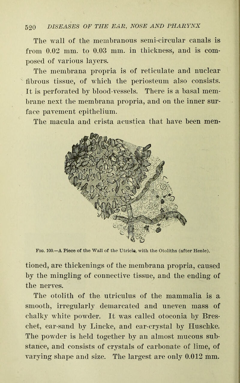 The wall of the membranous semi-circular canals is from 0.02 mm. to 0.03 mm. in thickness, and is com- posed of various layers. The membrana propria is of reticulate and nuclear fibrous tissue, of which the periosteum also consists. It is perforated by blood-vessels. There is a basal mem- brane next the membrana propria, and on the inner sur- face pavement epithelium. The macula and crista acustic-a that have been men- Fig. 100.—A Piece of the Wall of the Utricle, with the Otoliths (after Henle). tioned, are thickenings of the membrana propria, caused by the mingling of connective tissue, and the ending of the nerves. The otolith of the utriculus of the mammalia is a smooth, irregularly demarcated and uneven mass of chalky white powder. It was called otoconia by Bres- chet, ear-sand by Lincke, and ear-crystal by Huschke. The powder is held together by an almost mucous sub- stance, and consists of crystals of carbonate of lime, of varying shape and size. The largest are only 0.012 mm.