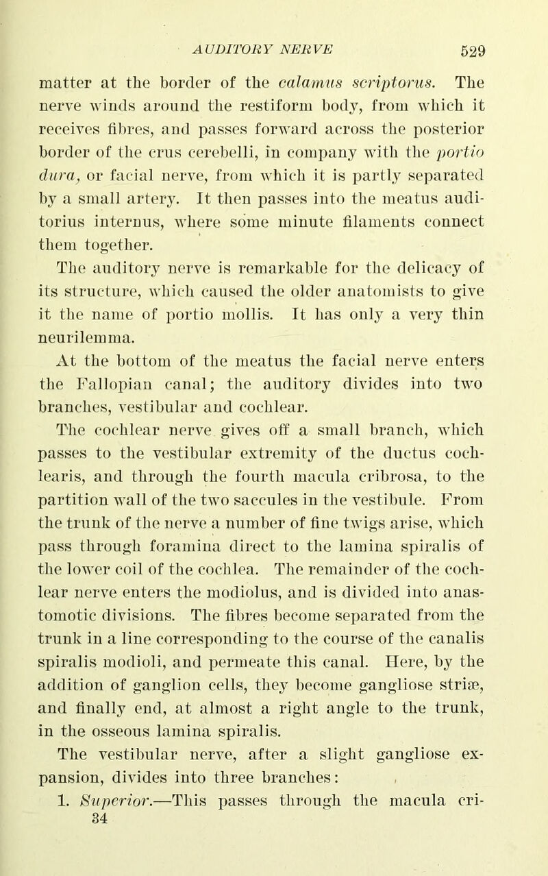 matter at the border of the calamus scriptorus. The nerve winds around the restiform body, from which it receives fibres, and passes forward across the posterior border of the crus cerebelli, in company with the portio dura, or facial nerve, from which it is partly separated by a small artery. It then passes into the meatus audi- torius internus, where some minute filaments connect them together. The auditory nerve is remarkable for the delicacy of its structure, which caused the older anatomists to give it the name of portio mollis. It has only a very thin neurilemma. At the bottom of the meatus the facial nerve enters the Fallopian canal; the auditory divides into two branches, vestibular and cochlear. The cochlear nerve gives off a small branch, which passes to the vestibular extremity of the ductus coch- learis, and through the fourth macula cribrosa, to the partition wall of the two saccules in the vestibule. From the trunk of the nerve a number of fine twigs arise, which pass through foramina direct to the lamina spiralis of the lower coil of the cochlea. The remainder of the coch- lear nerve enters the modiolus, and is divided into anas- tomotic divisions. The fibres become separated from the trunk in a line corresponding to the course of the canalis spiralis modioli, and permeate this canal. Here, by the addition of ganglion cells, they become gangliose strife, and finally end, at almost a right angle to the trunk, in the osseous lamina spiralis. The vestibular nerve, after a slight gangliose ex- pansion, divides into three branches: 1. Superior.—This passes through the macula cri- 34