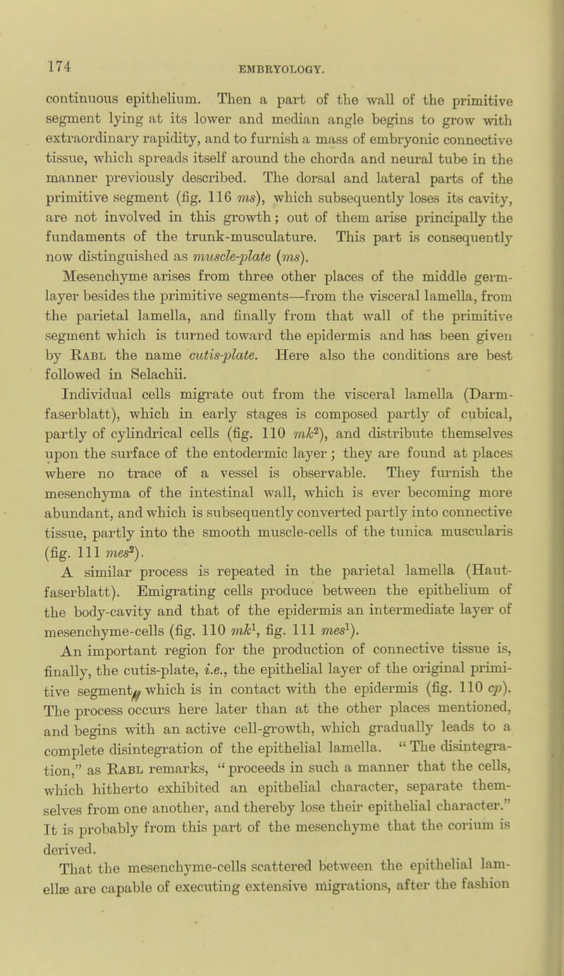 continuous epithelium. Then a part of the wall of the primitive segment lying at its lower and median angle begins to grow with extraordinary rapidity, and to furnish a mass of embryonic connective tissue, which spreads itself around the chorda and neural tube in the manner previously described. The dorsal and lateral parts of the primitive segment (fig. 116 ms), which svibsequently loses its cavity, are not involved in this growth; out of them arise principally the fundaments of the trunk-musculature. This part is consequently now distinguished as muscle-plate {ms). Mesenchyme arises from three other places of the middle germ- layer besides the primitive segments—from the visceral lamella, from the parietal lamella, and finally from that wall of the primitive segment which is turned toward the epidermis and has been given by Rabl the name cutis-plate. Here also the conditions are best followed in Selachii. Individual cells migrate out from the visceral lamella (Darm- faserblatt), which in early stages is composed partly of cubical, partly of cylindrical cells (fig. 110 mP), and disti-ibute themselves upon the surface of the entodermic layer ; they are found at places where no trace of a vessel is observable. They fm-nish the mesenchyma of the intestinal wall, which is ever becoming more abundant, and which is subsequently converted partly into connective tissue, partly into the smooth muscle-cells of the tunica muscularis (fig. Ill mes^). A similar process is repeated in the parietal lamella (Haut- fasei-blatt). Emigrating cells produce between the epithelium of the body-cavity and that of the epidermis an intermediate layer of mesenchyme-cells (fig. 110 mh^, fig. Ill mes^). An important region for the production of connective tissue is, finally, the cutis-plate, i.e., the epithelial layer of the original primi- tive segment^^ which is in contact with the epidermis (fig. 110 cp). The process occurs here later than at the other places mentioned, and begins with an active cell-growth, which gradually leads to a complete disintegration of the epithelial lamella.  The disintegi-a- tion, as Rabl remarks,  proceeds in such a manner that the cells, which hitherto exhibited an epithelial character, separate them- selves from one another, and thereby lose their epitheUal character. It is probably from this part of the mesenchyme that the corium is derived. That the mesenchyme-cells scattered between the epithelial 1am- ellse are capable of executing extensive migrations, after the fashion