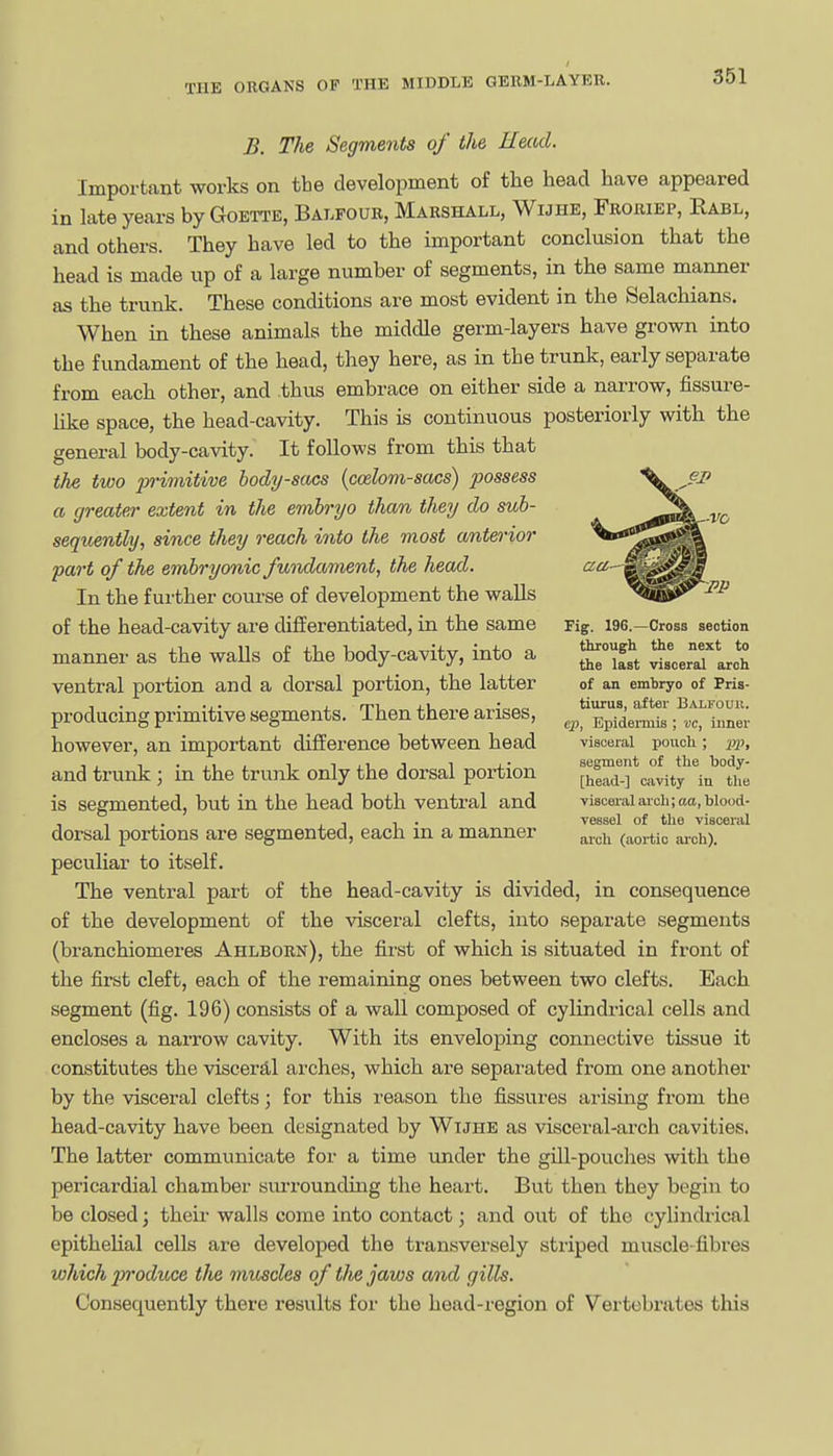 B. The Segments of the Head. Important works on the development of the head have appeared in late years by Goette, Balfour, Marshall, Wijhe, Froriep, Rabl, and others. They have led to the important conclusion that the head is made up of a large number of segments, in the same manner as the trunk. These conditions are most evident in the Selachians. When in these animals the middle germ-layers have grown into the fundament of the head, they here, as in the trunk, early separate from each other, and thus embrace on either side a narrow, fissure- hke space, the head-cavity. This is continuous posteriorly with the general body-cavity. It follows from this that the two jyi'i'mitive body-sacs {codom-sacs) possess a greater extent in the embryo than they do sub- sequently, since they reach into the most anterior part of the embryonic fuiulament, the head. In the further course of development the walls of the head-cavity are differentiated, in the same manner as the walls of the body-cavity, into a ventral portion and a dorsal portion, the latter producing primitive segments. Then there arises, however, an important difference between head and trunk ; in the trunk only the dorsal portion is segmented, but in the head both ventral and dorsal portions are segmented, each in a manner peculiar to itself. The ventral part of the head-cavity is divided, in consequence of the development of the visceral clefts, into sepai-ate segments (branchiomeres Ahlborn), the first of which is situated in front of the first cleft, each of the remaining ones between two clefts. Each segment (fig. 196) consists of a wall composed of cylindrical cells and encloses a narrow cavity. With its enveloping connective tissue it constitutes the viscerd,l arches, which are separated from one another by the visceral clefts; for this reason the fissures arising from the head-cavity have been designated by Wijhe as visceral-arch cavities. The latter communicate for a time under the gill-pouches with the pericardial chamber surrounduig the heart. But then they begin to be closed; their walls come into contact; and out of the cylindrical epithehal cells are developed the transversely striped muscle-fibres which 2}roduce the rnuscles of the jaws and gills. Consequently there results for the head-region of Vertebrates this Fig. 196.—Cross section through the next to the last visceral arch of an embryo of Pris- tiurus, after Balfouu. ep, Epidermis ; vc, inner visceral pouch ; pPi segment of the Ijody- [head-] cavity in the visceral arch; aa, blood- vessel of the visceral arch (aortic arch).