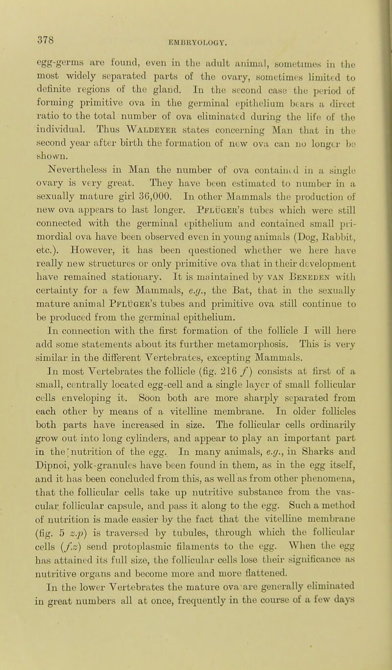 egg-germs are found, even in the adult animal, Kometimes in Ihn most widely separated parts of the ovary, sometimes limited to definite regions of the gland. In the second case the period of forming primitive ova in the germinal epithelium btars a direct ratio to the total number of ova eliminated during the life of the individual. Thus Waldeyer states concerning Man that in the second year after birth the formation of new ova can no longer be shown. Nevertheless in Man the number of ova contained in a single ovary is very great. They have been estimated to number in a sexually mature gii-l 36,000. In other Mammals the production of new ova appears to last longer. Pfluger's tubes which were still connected with the germinal epithelium and contained small pii- mordial ova have been observed even in young animals (Dog, Eabbit, etc.). However, it has been questioned whether we here have really new structures or only primitive ova that in their development have remained stationary. It is maintained by van Beneden with certainty for a few Mammals, e.g., the Bat, that in the sexually mature animal Pfluger's tubes and primitive ova still continue to be produced from the germinal epithelium. In connection with the first formation of the follicle I will here add some statements about its further metamorphosis. This is very similar in the different Vertebrates, excepting Mammals. In most Vertebrates the follicle (fig. 216 f) consists at fu'st of a small, centrally located egg-cell and a single layer of small follicular cells enveloping it. Soon both are more sharply separated from each other by means of a vitelline membi'ane. In older follicles both parts have increased in size. The folHcular cells ordinarily grow out into long cylinders, and appear to play an important part in the'nutrition of the egg. In many animals, e.g., in Sharks and Dipnoi, yolk-granules have been found in them, as in the egg itself, and it has been concluded from this, as well as from othei- phenomena, that the follicular cells take up nutritive substance from the vas- cular follicular capside, and pass it along to the egg. Such a method of nutrition is made easier by the fact that the vitelline membrane (fig. 5 Z.2}) is traversed by tubules, through which the follicular cells (/.;:;) send protoplasmic filaments to the egg. When the egg has attained its full size, the follicular cells lose their signiticiiuce as nutritive organs and become more and more flattened. In the lower Vertebrates the mature ova are generally ehminated in great numbers all at once, frequently in the course of a few days