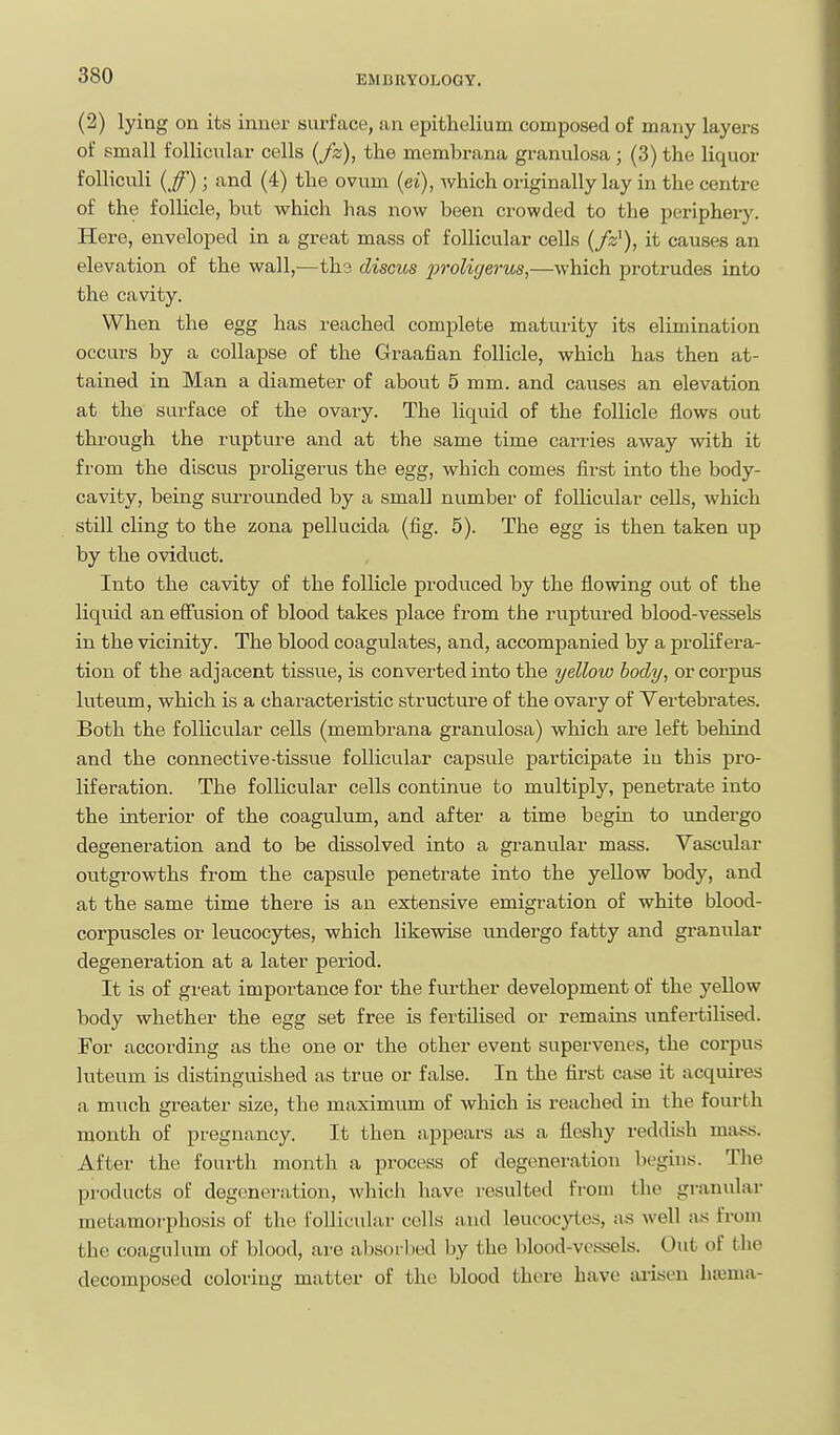 (2) lying on its inner surface, an epithelium composed of many layers of small follicular cells {fz), the membrana granulosa; (3) the liquor foUiculi {ff); and (4) the ovum (ei), which originally lay in the centre of the folhcle, but which has now been crowded to the periphery. Here, enveloped in a great mass of follicular cells (/a;'), it causes an elevation of the wall,—ths discus j^i'oUyerus,—which protrudes into the cavity. When the egg has reached complete maturity its elimination occurs by a collapse of the Graafian follicle, which has then at- tained in Man a diameter of about 5 mm. and causes an elevation at the surface of the ovary. The liquid of the follicle flows out through the rupture and at the same time carries away with it from the discus proligerus the egg, which comes first into the body- cavity, being surrounded by a small number of follicular cells, which still cling to the zona pellucida (fig. 5). The egg is then taken up by the oviduct. Into the cavity of the follicle produced by the Avowing out of the hquid an effusion of blood takes place from the ruptured blood-vessels in the vicinity. The blood coagulates, and, accompanied by a proHf era- tion of the adjacent tissue, is converted into the yellow body, or corpus luteum, which is a characteristic structure of the ovary of Vertebrates. Both the folUcular cells (membrana granulosa) which are left behind and the connective-tissue follicular capsule participate in this pro- liferation. The folhcular cells continue to multiply, penetrate into the interior of the coagulum, and after a time begin to undergo degeneration and to be dissolved into a granular mass. Vascular outgrowths from the capsule penetrate into the yellow body, and at the same time there is an extensive emigration of white blood- corpuscles or leucocytes, which likewise undergo fatty and granular degeneration at a later period. It is of great importance for the further development of the yellow body whether the egg set free is fertilised or remains unfertilised. For according as the one or the other event supervenes, the corpus luteum is distinguished as true or false. In the fii-st case it acquires a much greater size, the maximum of which is reached in the fourth month of pregnancy. It then appears as a fleshy reddish mass. After the fourth month a process of degeneration begins. The products of degeneration, which have resulted from the granular metamorphosis of the follicular cells and leucocytes, as well a,s from the coagulum of blood, are absor'bed by the blood-vessels. Out of the decomposed coloring matter of the blood there have arisen ha3ma-