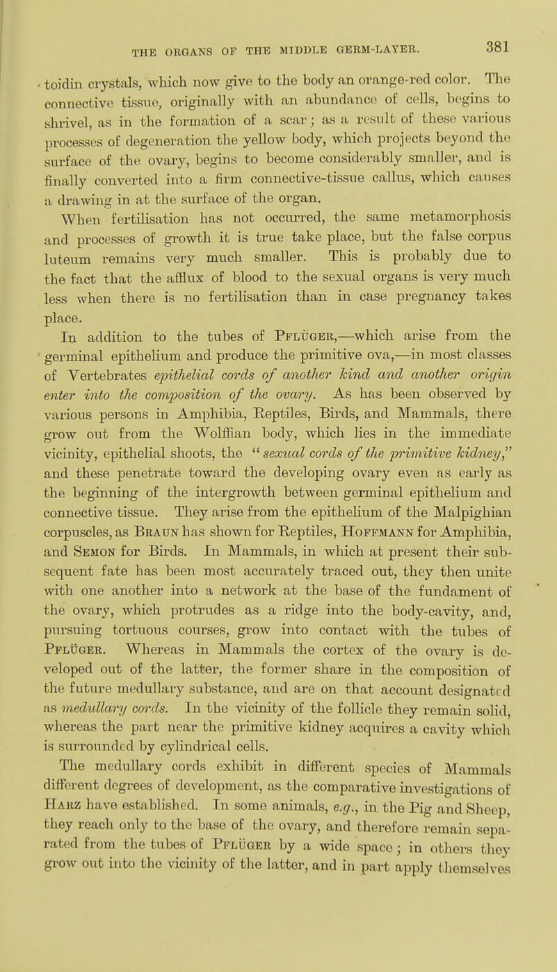 . toidin crystals/which now givo to the body an orange-red color. The connective ti.'ssuo, originally with an abundance of cells, begins to shrivel, as in the formation of a scar; as a rtssiilt of these various processes of degeneration the yellow body, which projects beyond the surface of the ovary, begins to become considerably smaller, and is finally converted into a firm connective-tissue callus, which causes a drawing in at the surface of the organ. When fertihsation has not occurred, the same metamorphosis and processes of growth it is true take place, but the false corpus luteum remains very much smaller. This is probably due to the fact that the afflux of blood to the sexual organs is very much less when there is no fertilisation than in case pregnancy takes place. In addition to the tubes of Pfluger,—which arise from the germinal epithelium and produce the primitive ova,—in most classes of Vertebrates epithelial cords of another kind and another origin enter into tlie com230sition of the ovary. As has been observed by various persons in Amphibia, Reptiles, Birds, and Mammals, there grow out from the Wolffian body, which lies in the immediate vicinity, epithelial shoots, the  sexual cords of the primitive kidney and these penetrate toward the developing ovary even as early as the beginning of the intergrowth between germinal epithelium and connective tissue. They arise from the epithelium of the Malpighian corpuscles, as Braun has shown for Reptiles, Hoffmann for Amphibia, and Semon for Birds. In Mammals, in which at present their sub- sequent fate has been most accurately traced out, they then unite with one another into a network at the base of the fundament of the ovary, which protrudes as a ridge into the body-cavity, and, pursuing tortuous courses, grow into contact with the tubes of Pfluger. Whereas in Mammals the cortex of the ovary is de- veloped out of the latter, the former share in the composition of the future medullary substance, and are on that account designated as medullary cords. In the vicinity of the follicle they remain solid, whereas the part near the primitive kidney acquires a cavity which is surrounded by cylindrical cells. The medullary cords exhibit in different species of Mammals different degrees of development, as the comparative investigations of Hakz have established. In some animals, e.g., in the Pig and Sheep, they reach only to the base of the ovary, and therefore remain sepa- rated from the tubes of PFLiiaER by a wide space; in others they gi'ow out into the vicinity of the latter, and in part apply themselves