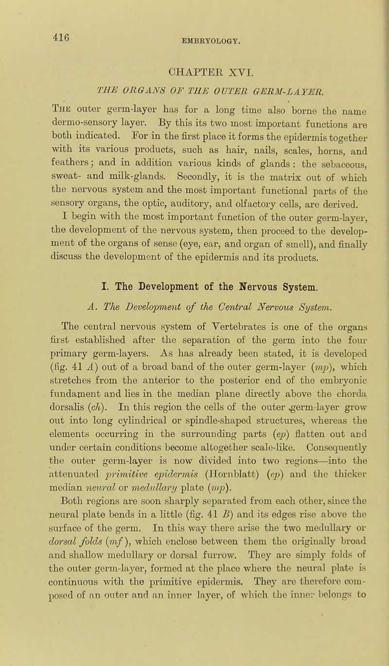 EMBRYOLOGY, CHAPTER XVI. THE ORGANS OF THE OUTER. GERM-LAYER. TiiK outer germ-layer has for a long time also borne the name dermo-sensory layer. By this its two most important functions are both indicated. For in the first place it forms the epidermis together with its various products, such as hair, nails, scales, horns, and feathers; and in addition various kinds of glands : the sebaceous, sweat- and milk-glands. Secondly, it is the matrix out of which the nervous system and the most important functional parts of the sensory organs, the optic, auditory, and olfactory cells, are derived. I begin with the most important function of the outer germ-layer, the development of the nervous system, then proceed to the develop- ment of the organs of sense (eye, ear, and organ of smell), and finally discuss the development of the epidermis and its products. I. The Development of the Nervous System. A. The Development of the Central Nervous System. The central nervous system of Vertebrates is one of the organs first established after the separation of the germ into the foiu- primary germ-layers. As has already been stated, it is developed (fig. 41 zl) out of a broad band of the outer germ-layer {mj)), which stretches from the anterior to the posterior end of the embryonic fundament and lies in the median plane directly above the chorda dorsahs (cA). In this region the cells of the outer ^erm-layer grow out into long cyhndrical or spindle-shaped structures, whereas the elements occurring in the surrounding parts {ep) flatten out and under certain conditions become altogether scale-like. Consequently the outer germ-layer is now divided into two regions—into the attenuated primitive epidermis (Ilorublatt) {e])) and the thicker median oieural or imdidlary plate {mpi). Both regions are soon sharply separated from each other, since the neiu-al plate bends in a little (fig. il B) and its edges rise above the suiface of the germ. In this way there arise the two medullary or dorsal folds (nif), which enclose between them the originally broad and shallow medullary or dorsal furrow. They are simply folds of the outer germ-layer, formed at the place where the neural plate is continuous with the primitive epidermis. They are therefore com- posed of nn outor and !i.n inner layer, of Avhich (he inner belongs to