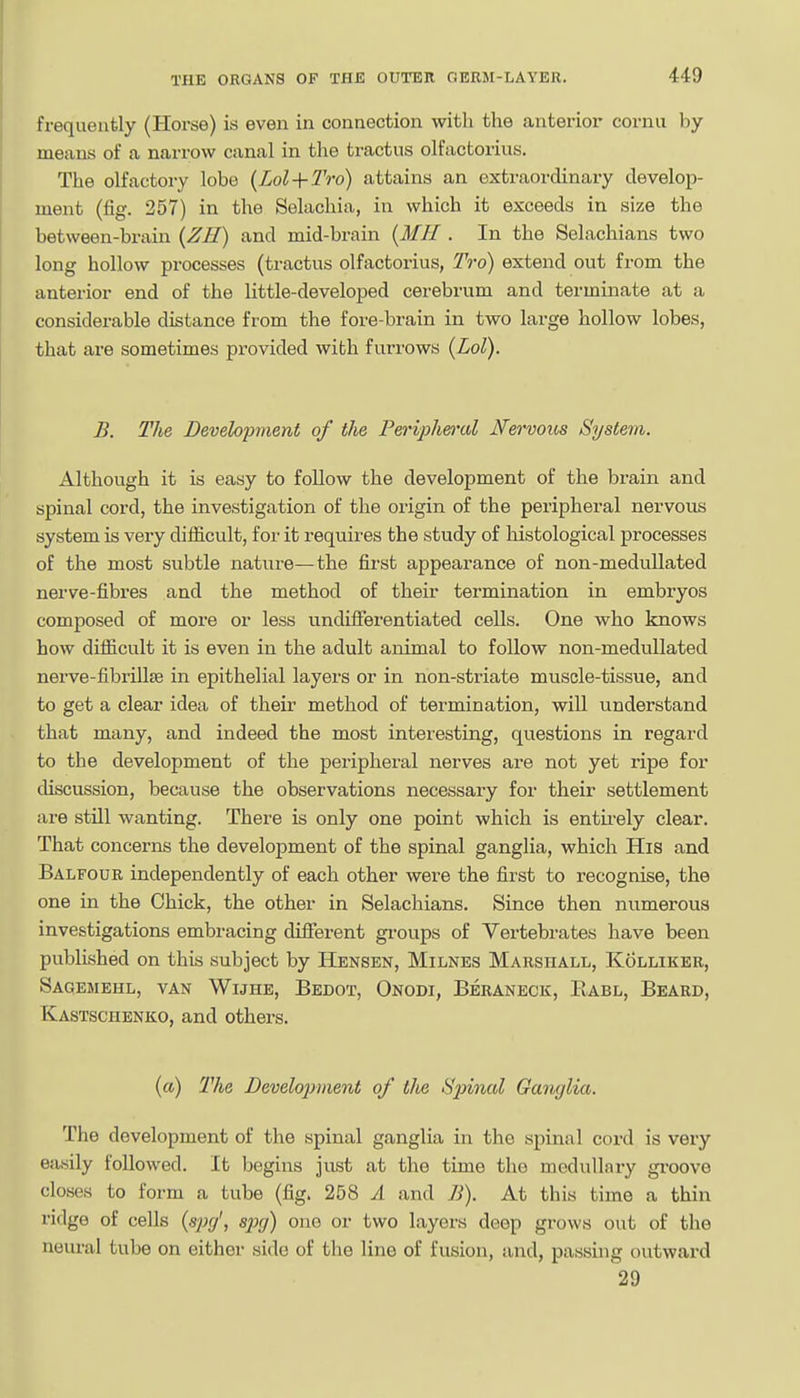 frequently (Horse) is even in connection with the anterior cornu by means of a narrow canal in the tractus olfactorius. The olfactory lobe {Lol + 2Vo) attains an extraordinary develop- ment (fig. 257) in the Selachia, in which it exceeds in size the between-brain (^H) and mid-brain {Mil. In the Selachians two long hollow processes (tractus olfactorius, Tro) extend out from the anterior end of the little-developed cerebrum and terminate at a considerable distance from the fore-brain in two large hollow lobes, that are sometimes provided with furrows (Lol). B. The Development of the Peri-pheixd Nervous System. Although it is easy to follow the development of the brain and spinal cord, the investigation of the origin of the peripheral nervous system is very difficult, for it requii'es the study of histological processes of the most subtle nature—the first appearance of non-meduUated nerve-fibres and the method of their termination in embryos composed of more or less undifferentiated cells. One who knows how difficult it is even in the adult animal to follow non-meduUated nerve-fibrillte in epithelial layers or in non-striate muscle-tissue, and to get a clear idea of their method of termination, will understand that many, and indeed the most interesting, questions in regard to the development of the peripheral nerves are not yet ripe for cUscussion, because the observations necessary for their settlement are still wanting. There is only one point which is entii-ely clear. That concerns the development of the spinal ganglia, which His and Balfour independently of each other were the first to recognise, the one in the Chick, the other in Selachians. Since then nixmerous investigations embracing different gi-oups of Vertebrates have been published on this subject by Hensen, Milnes Marshall, Kolliker, Saoemehl, van Wijhe, Bedot, Onodi, Beraneck, Eabl, Beard, Kastschenko, and others. (a) The Develo2mient of tlie Sinnal Ganglia. The development of the spinal ganglia in the spinal cord is very easily followed. It begins just at the time the medullary gi'oove closes to form a tube (fig. 258 A and B). At this time a thin ridge of cells {spcj, spg) one or two layers deep grows out of the neural tube on either side of the line of fusion, and, passing outward 29