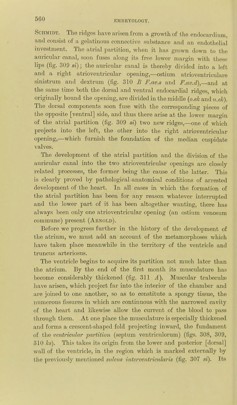 EMBRYOLOGY. SciiMTDT. The ridges have arisen from a growth of the endocardium, and consist of a gelatinous connective substance and an endotlielial investment. The atrial partition, when it has grown down to the auricular canal, soon fuses along its free lower margin with the,se lips (fig. 309 si); the auricular canal is thereby divided into a left and a right atrioventricular opening,—ostium atrioventriculare sinistrum and dextrum (fig. 310 H F.av.s and F.av.d),—a.nA at the same time both the dorsal and ventral endocardial ridges, which originally bound the opening, are divided in the middle {o.ek and^.e^). The dorsal components soon fuse with the corresponding pieces of the opposite [ventral] side, and thus there arise at the lower margin of the atrial partition (fig. 309 si) two new ridges,—one of which projects into the left, the other into the right atrioventricular opening,—which furnish the foundation of the median cuspidate valves. The development of the atrial partition and the division of the auricular canal into the two atrioventricular openings are closely related processes, the former being the cause of the latter. This is clearly proved by pathological-anatomical conditions of arrested development of the heart. In all cases in which the formation of the atrial partition has been for any reason whatever interrupted and the lower part of it has been altogether wanting, there has always been only one atrioventricular opening (an ostium venosum commune) present (Arnold). Before we progress further in the history of the development of the atrium, we must add an account of the metamorphoses which have taken place meanwhile in the tei'ritory of the ventricle and truncus arteriosus. The ventricle begins to acquire its partition not much later than the atrivun. By the end of the first month its musculature has become considerably thickened (fig. 311 A). Muscular trabecule have arisen, which project far into the interior of the chamber and are joined to one another, so as to constitute a spongy tissue, the numerous fissures in which are continuous with the narrowed cavity of the heart and likewise allow the current of the blood to pass tlirough them. At one place the musculature is especially thickened and forms a crescent-shaped fold projecting inward, the fundament of the ventricular 2}cirtiiion (septum ventriculorum) (figs. 308, 309, 810 ks). This takes its origin from the lower and posterior [dorsal] wall of the ventricle, in the region which is marked externally by tiie previously mentioned sulcits intcrventrimlaris (fig. 307 si). Its