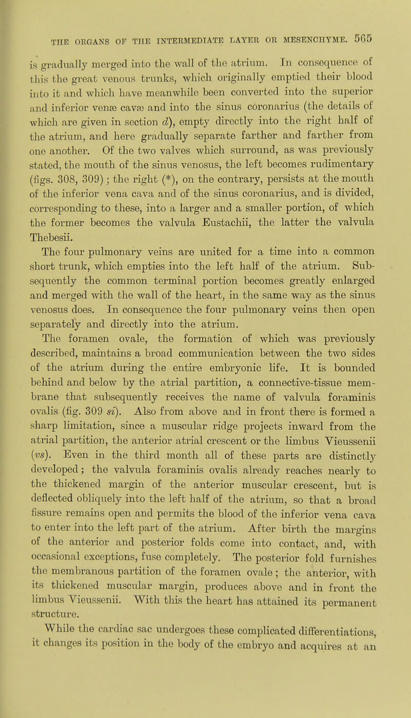 is gradually merged into the wall of the atrium. In consequence of this the great venous trunks, which originally emptied their blood into it and which have meanwhile been converted into the superior and inferior vente cava) and into the sinus coronarius (the details of which are given in section d), empty directly into the right half of the atrium, and here gradually separate farther and farther from one another. Of the two valves which surround, as was previously stated, the mouth of the sinus venosus, the left becomes rudimentary (figs. 308, 309); the right (*), on the contrary, persists at the mouth of the inferior vena cava and of the sinus coronarius, and is divided, corresponding to these, into a larger and a smaller portion, of which the former becomes the valvula Eustachii, the latter the valvula Thebesii. The fovir pulmonary veins are united for a time into a common short trunk, which empties into the left half of the atrium. Sub- sequently the common terminal portion becomes greatly enlarged and merged with the wall of the heart, in the same way as the sinus venosus does. In consequence the four pulmonary veins then open separately and dii'ectly into the atrium. The foramen ovale, the formation of which was previously described, maintains a broad communication between the two sides of the atrium during the entire embryonic life. It is bounded behind and below by the atrial partition, a connective-tissue mem- brane that subsequently receives the name of valvula foraminis ovalis (fig. 309 si). Also from above and in front there is formed a sharp limitation, since a muscular ridge projects inward from the atrial partition, the anterior ati'ial crescent or the limbus Vieussenii {vs). Even in the third month all of these parts are distinctly developed; the valvula foraminis ovalis already reaches nearly to the thickened margin of the anterior muscular crescent, but is deflected obliquely into the left half of the atrium, so that a broad fissure remains open and permits the blood of the inferior vena cava to enter into the left part of the atrium. After birth the margins of the anterior and posterior folds come into contact, and, with occasional exceptions, fuse completely. The posterior fold furnishes the membranous partition of the foramen ovale; the anterior, with its thickened muscular margin, produces above and in front the limbus Vieussenii. With this the heart has attained its permanent structure. While the cardiac sac undergoes these complicated differentiations, it changes its position in the body of the embryo and acquires at an