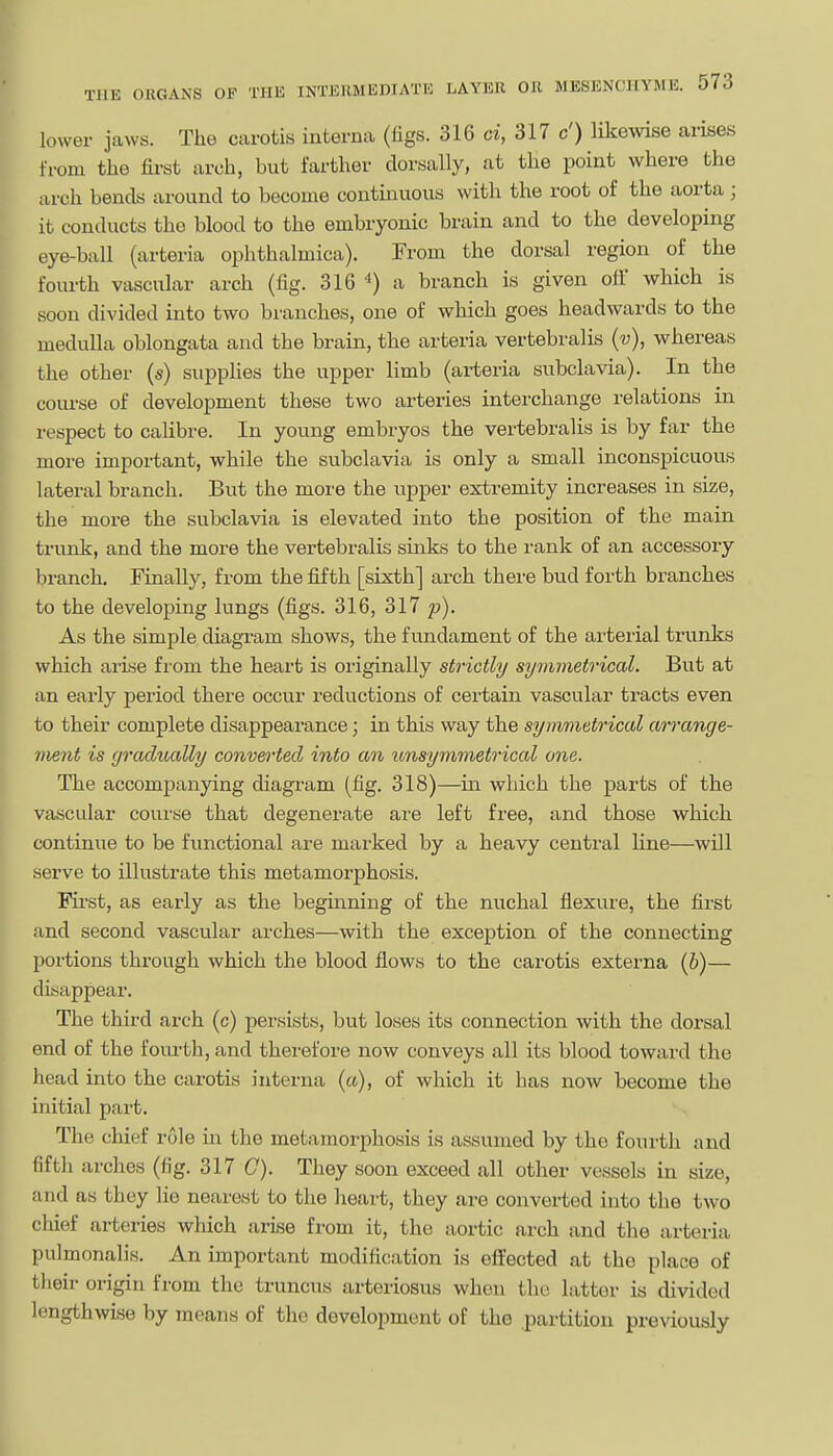 lower jaws. The carotis interna (figs. 316 ci, 317 c') likewise arises from the first arch, but farther dorsally, at the point where the arch bends around to become contmuous with the root of the aorta; it conducts the blood to the embryonic brain and to the developing eye-ball (arteria ophthalmica). From the dorsal region of the fourth vascular arch (fig. 316 a branch is given off which is soon divided into two branches, one of which goes headwards to the medulla oblongata and the brain, the arteria vertebralis (v), whereas the other (s) supplies the upper limb (arteria subclavia). In the course of development these two arteries interchange relations in respect to caUbre. In young embryos the vertebralis is by far the more important, while the subclavia is only a small inconspicuous lateral branch. But the more the upper extremity increases in size, the more the subclavia is elevated into the position of the main trunk, and the more the vertebralis sinks to the rank of an accessory branch. Finally, from the fifth [sixth] arch there bud forth branches to the developing lungs (figs. 316, 317 p). As the simple diagram shows, the fundament of the arterial trunks which arise fiom the heart is originally strictly symmetrical. But at an early period there occur reductions of certain vascular tracts even to their complete disappearance; in this way the symmetrical an-ange- ment is (jradAially convertedj into an ivnsymmetrical one. The accompanying diagram (fig. 318)—in which the parts of the vascidar course that degenerate ai'e left free, and those wliich continue to be functional are marked by a heavy central line—will serve to illustrate this metamorphosis. Mi-st, as early as the beginning of the nuchal flexure, the first and second vascular arches—with the exception of the connecting portions through which the blood flows to the carotis externa [h)— disappear. The third arch (c) persists, but loses its connection with the dorsal end of the fom-th, and therefore now conveys all its blood toward the head into the carotis interna («), of which it has now become the initial part. The chief role in the metamorphosis is assumed by the fourth and [ fifth arches (fig. 317 G). They soon exceed all other vessels in size, and as they lie nearest to the lieart, they are converted into the two chief arteries which arise from it, the aortic arch and the arteria pulmonalis. An important modification is effected at the place of their origin from the truncus arteriosus when the latter is divided lengthwise by means of the development of the partition previously