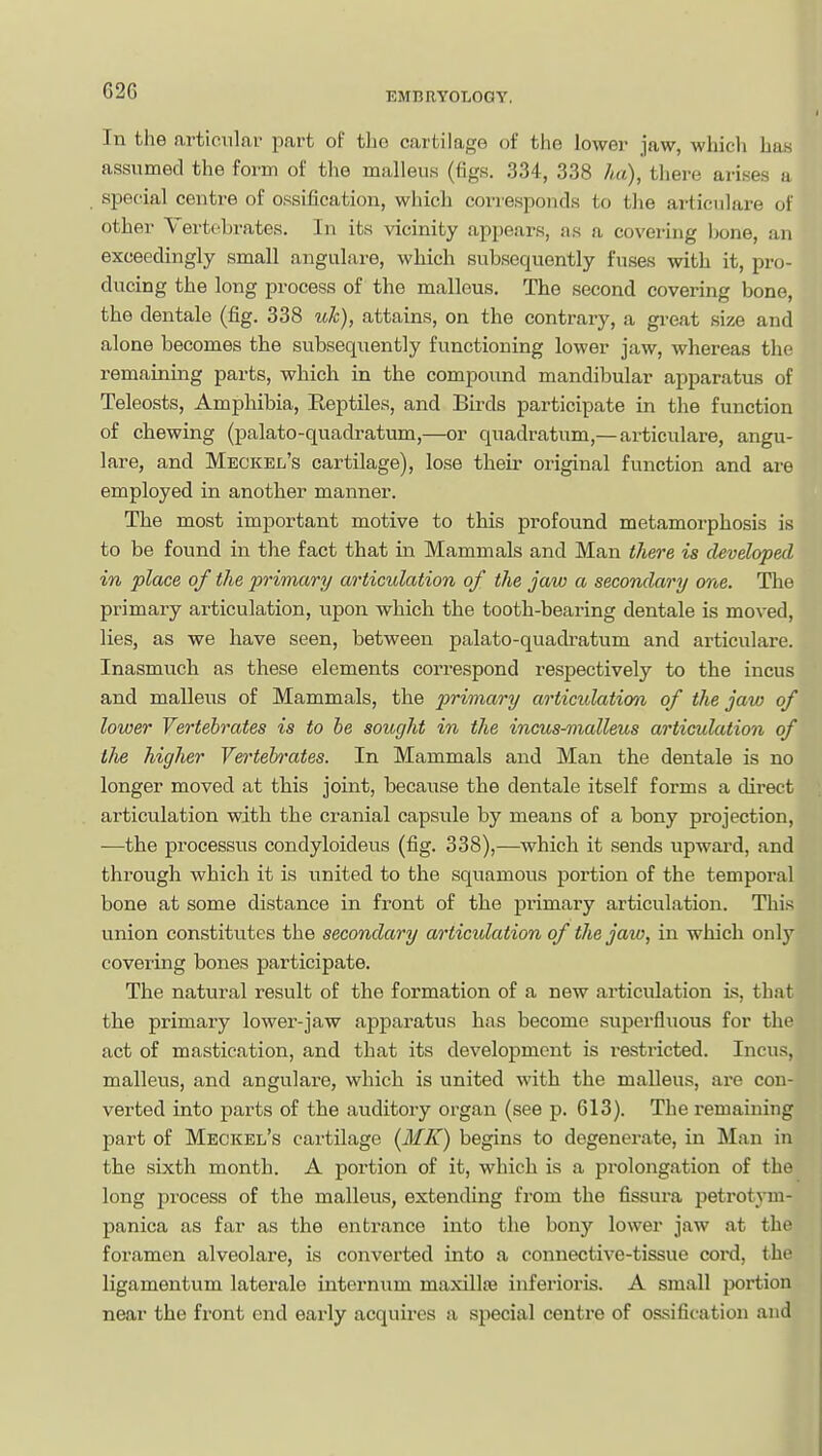 62G In the articular part of the cartilage of the lower jaw, wliich has assumed the form of the malleus (figs. 334, 338 ha), there arises a siaecial centre of ossification, which corresponds to the articulare of other Vertebrates. In its vicinity appears, sis a covering Ijone, an exceedingly small angulare, which subsequently fuses with it, pro- ducing the long process of the malleus. The second covering bone, the dentale (fig. 338 %ih), attains, on the contrary, a gi-eat size and alone becomes the subsequently functioning lower jaw, whereas the remaining parts, which in the compound mandibular apparatus of Teleosts, Amphibia, Reptiles, and Birds participate in the function of chewing (palato-quadratum,—or quadratum,— articulare, angu- lare, and Meckel's cartilage), lose their original function and are employed in another manner. The most important motive to this profound metamorphosis is to be found in the fact that in Mammals and Man there is developed in place of the primary articulation of the jaw a secondary one. The primary articulation, ixpon which the tooth-bearing dentale is moved, lies, as we have seen, between palato-quadi-atum and articulare. Inasmuch as these elements correspond respectively to the incus and malleus of Mammals, the primary articulation of the jaw of lower Vertebrates is to he sought in the incus-malleus articulation of the higher Vertebrates. In Mammals and Man the dentale is no longer moved at this joint, because the dentale itself forms a direct articulation with the cranial capsule by means of a bony projection, —the processus condyloideus (fig. 338),—which it sends upward, and through which it is united to the squamous portion of the temporal bone at some distance in front of the primary articulation. This union constitutes the secondary articulation of the jaio, in which only covering bones participate. The natural result of the formation of a new articulation is, that the primary lower-jaw apparatus has become superfluous for the act of mastication, and that its development is restricted. Incus, malleus, and angulare, which is united with the malleus, are con- verted into parts of the auditory organ (see p. 613). The remaining part of Meckel's cartilage (MK) begins to degenerate, in Man in the sixth month. A portion of it, which is a prolongation of the long process of the malleus, extending from the fissura petrotym- panica as far as the entrance into the bony lower jaw at the foramen alveolare, is converted into a connective-tissue coi'd, the ligamentum laterale internum maxillsB inferioris. A small portion near the front end early acquires a special centre of ossification and