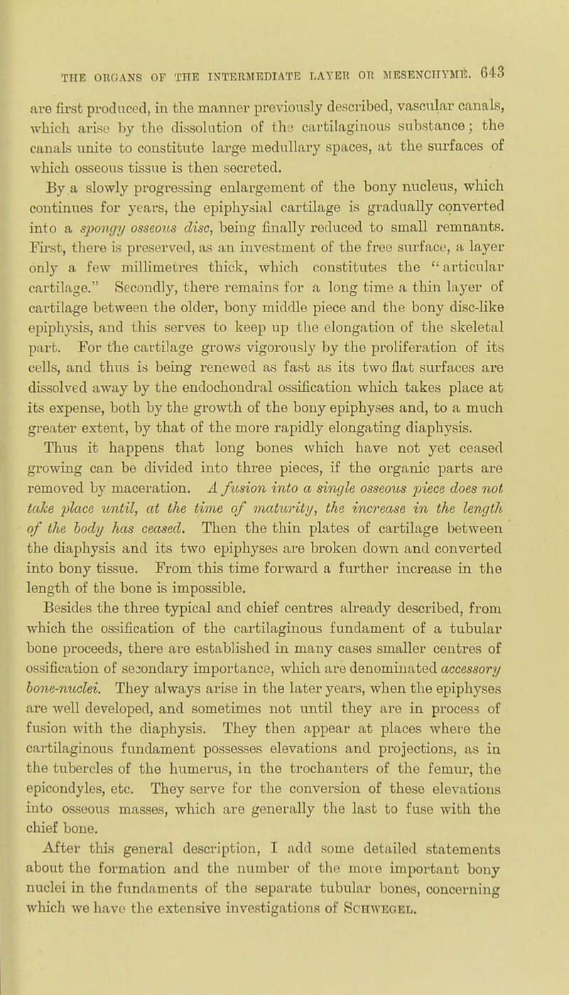 are first produced, in the manner previously described, vascular canals, which arise by tlie dissolution of th'.> cartilaginous substance; the canals unite to constitute large medullary spaces, at the surfaces of which osseous tissue is then secreted. By a slowly progressing enlargement of the bony nucleus, which continues for years, the epiphysial cartilage is gradually converted into a spongy osseoics disc, being finally reduced to small remnants. Fu'st, there is preserved, as an investment of the free surface, a layer onl)'- a few millimetres thick, which constitutes the  articular cartilage. Secondly, there remains for a long time a thin layer of cartilage between the older, bony middle piece and the bony disc-like epiphysis, and thLs serves to keep up the elongation of the skeletal part. For the cartilage grows vigoroiisly by the proliferation of its cells, and thus is being renewed as fast as its two flat surfaces are dissolved away by the endochondral ossification which takes place at its expense, both by the growth of the bony epiphyses and, to a much greater extent, by that of the more rapidly elongating diaphysis. Thus it happens that long bones which have not yet ceased growing can be divided into three pieces, if the organic parts are removed by maceration. A fit,sion into a single osseous j^iece does not take lilace until, at the time of maturity, the increase in the length of the hody has ceased. Then the thin plates of cartilage between the diaphysis and its two epiphyses are broken down and converted into bony tissue. From this time forward a further increase in the length of the bone is impossible. Besides the three typical and chief centres already described, from which the ossification of the cartilaginous fundament of a tubular bone proceeds, there are established in many cases smaller centres of ossification of secondary importance, which are denominated accessory hone-nuclei. They always arise in the later years, when the epiphyses are well developed, and sometimes not until they are in process of fusion with the diaphysis. They then appear at places where the cartilaginous fundament possesses elevations and projections, as in the tubercles of the humerus, in the trochanters of the femur, the epicondyles, etc. They serve for the conversion of these elevations into osseous masses, which are generally the last to fuse with the chief bone. After thLs general description, I add some detailed statements about the formation and the number of the move important bony nuclei in the fundaments of the separate tubular bones, concerning which we have the extensive investigations of Schwegel.