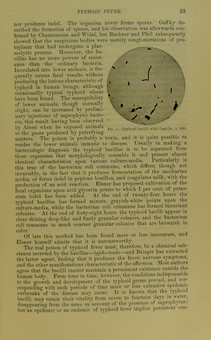 nor produces indol. The organism never forms spores. Gaffky de- scribed the formation of spores, and his observation was afterwards con- firmed by Chantemesse and Widal, but Buchner and Pfeil subsequently showed that the suspicious bodies were merely conglomerations of pro- toplasm that had undergone a plas- molytic process. Moreover, the ba- ^^---^^ cillus has no more powers of resist- ance than the ordinary bacteria. / Inoculated into lower animals, it fre- /^^ quently causes fatal results without / producing the lesions characteristic of / ^ ^ typhoid in human beings, although \ ; occasionally typical typhoid ulcers • have been found. The susceptibility - of lower animals, though normally ^ ^ ^ ' i slight, can be increased by prelimi- -0.'^ y W nary injections of saprophytic bacte- y ^ ^ ria, this result having been observed ' . ^ by Alessi when he exposed animals pig. i._Typhoid bacim with fiageiia; x looo. to the gases produced by putrefying matters. The poison is probably a toxin, and it is quite possible to render the lower animals immune to disease. Usually in making a bacteriologic diagnosis the typhoid bacillus is io be separated from those organisms that morphologically resemble it and present almost identical characteristics upon various culture-media. Particularly is this true of the bacterium coli commune, which differs, though not invariably, in the fact that it produces fermentation of the saccharine media, or forms indol in peptone bouillon, and coagulates milk, with the production of an acid reaction. Eisner has proposed cultivation of the fecal organisms upon acid glycerin potato to which 1 per cent, of potas- sium iodid has been added. At the end of twenty-four hours the typhoid bacillus has formed minute, grayish-white points upon the culture-media, while the bacterium coli commune has formed luxuriant colonies. At the end of forty-eight hours the typhoid bacilli appear m clear shining drop-like and finely granular colonies, and the bacterium coli commune in much coarser granular colonies that are brownish m color. , Of late this method has been found more or less inaccurate, and Eisner himself admits that it is untrustworthy. The real poison of typhoid fever must, therefore, be a chemical sub- stance secreted by the bacillus—«yj^/to-foa:Mi—and Brieger has extracted the latter agent, finding that it produces the fever, nervous symptoms, and the other manifestations characteristic of the aflection. Most authors agree that the bacilli cannot maintain a permanent existence outside the human body. From time to time, however, the conditions indispensable to the growth and development of the typhoid germs prevail, and cor- responding with such periods of time more or less extensive epidemic outbreaks of the disease may occur. It is known that the typUoid bacilli may retain their vitality from seven to fourteen days m water, disappearintr from the same on account of the presence of saprophytes, but an epidemic or an endemic of typhoid fever implies persistent con-