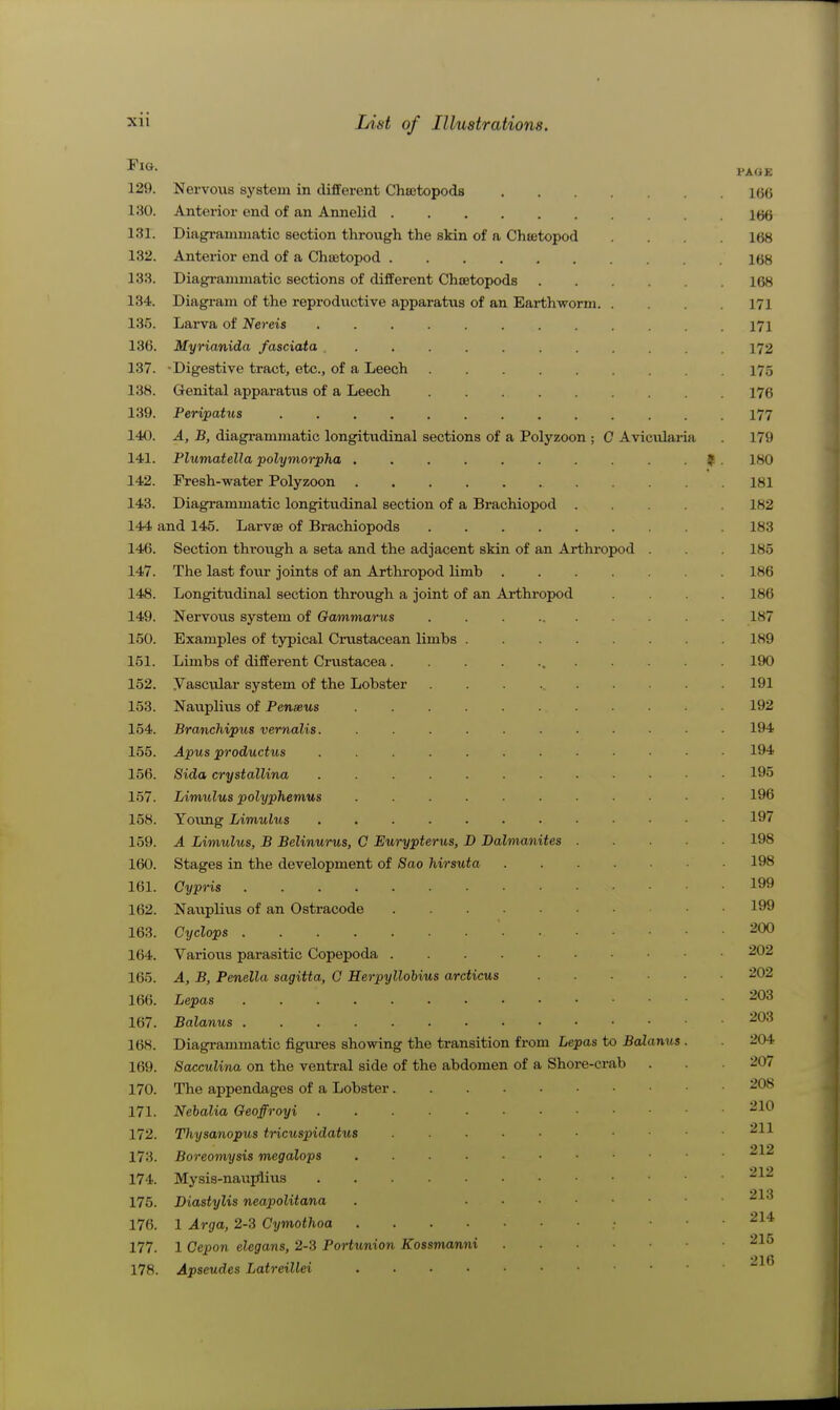 Fig. 129. Nervous system in different Cheetopods 130. Anterior end of an Annelid 131. Diagi-auimatic section through the skin of a Chtetopod 132. Anterior end of a Chsetopod 133. Diagi-amniatic sections of different Cheetopods 134. Diagi'am of the reproductive apparatus of an Earthworm 135. Larva of Nereis 136. Myrianida fasciata ........ 137. -Digestive tract, etc., of a Leech 138. Genital apparatiis of a Leech 139. Peripatus 140. A, B, diagrammatic longitudinal sections of a Polyzoon ; C Aviciilai-ia 141. Plumatella polymorpha ........ 142. Fresh-water Polyzoon 143. Diagrammatic longitudinal section of a Brachiopod . 144 and 145. Larvae of Brachiopods 146. Section through a seta and the adjacent skin of an Arthi-opod 147. The last foiu- joints of an Arthropod limb .... 148. Longitudinal section through a joint of an Arthropod 149. Nervous system of Gammarus 150. Examples of typical Crustacean limbs 151. Limbs of different Crustacea. 152. yascular system of the Lobster 153. Nauplius of Penmus 154. Branchipus vernalis. 155. Apus productus 156. Sida crystallina 157. Limulus polyphenius 158. Yoimg Limulus 159. A Limulus, B Belinurus, C Eurypterus, D Dalmanites 160. Stages in the development of Sao hirsuta 161. Cypris 162. Nauplius of an Ostracode 163. Cyclops 164. Various parasitic Copepoda 165. A, B, Penella sagitta, Q Herpyllohius arcticus 166. Lepas 167. Balanus 168. Diagrammatic figures showing the transition from Lepas to Balanus 169. Sacculina on the ventral side of the abdomen of a Shore-crab 170. The appendages of a Lobster. 171. Nehalia Geoffroyi 172. Thysanopus tricuspidatus 173. Boreomysis m^galops 174. Mysis-naupiius 175. Diastylis neapolitana 176. 1 Arga, 2-3 Cymothoa 177. 1 Cepon elegans, 2-3 Portunion Kossmanni 178. Apseudes Latreillei ....