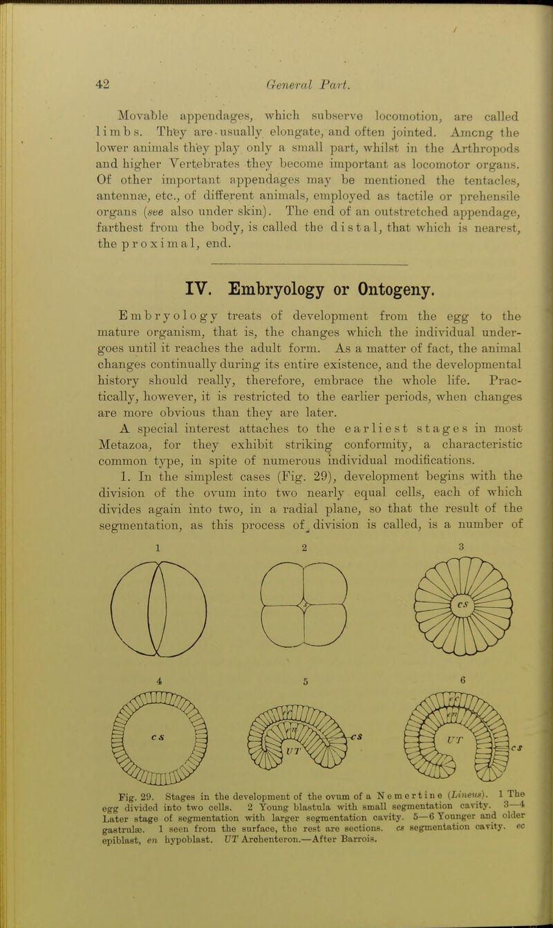 Movable appendages, which subserve locomotion, are called limbs. Th'ey are-usually elongate, and often jointed. Ajncng the lower animals they play only a small part, whilst in the Arthropods and higher Vertebrates they become important as locomotor organs. Of other important appendages may be mentioned the tentacles, antennae, etc., of diife.rent animals, employed as tactile or prehensile organs [see also under skin). The end of an outstretched appendage, farthest from the body, is called the distal, that which is nearest, the proximal, end. IV. Embryology or Ontogeny. Embryology treats of development from the egg to the mature organism, that is, the changes which the individual under- goes until it reaches the adult form. As a matter of fact, the animal changes continually during its entire existence, and the developmental history should really, therefore, embrace the whole life. Prac- tically, however, it is restricted to the earlier periods, when changes are more obvious than they are later. A special interest attaches to the earliest stages in most Metazoa, for they exhibit striking confonnity, a characteristic common type, in spite of numerous individu.al modifications. 1. In the simplest cases (Fig. 29), development begins with the division of the ovum into two nearly equal cells, each of which divides again into two, in a radial plane, so that the result of the segmentation, as this process of ^ division is called, is a number of 12 3 Fig. 29. Stages in the development of the ovnm of a Nemertine (Lineus). 1 The egg divided into two cells. 2 Young blastnla mth small segmentation cavit3'. 3—4 Later stage of segmentation with larger segmentation cavity. 5—6 Younger and older gastrulse. 1 seen from the surface, the rest are sections, cs segmentation cavity, ec epiblast, en hypoblast. UT Arohenteron.—After Barrois.