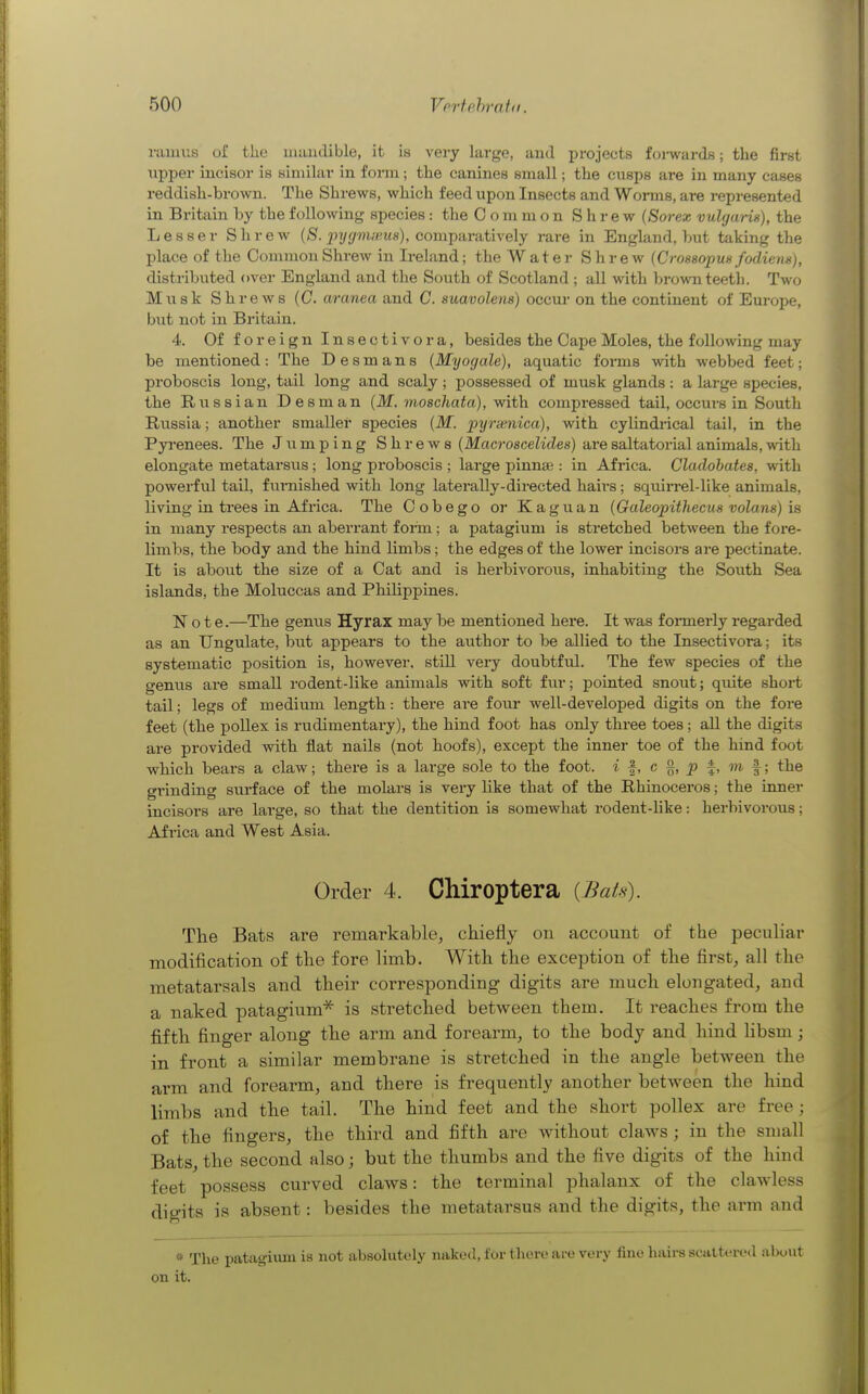 ramus of the uiiuidible, it is very large, and projects foi-wards; the first \ipper incisor is similar in form; the canines small; the cusps are in many cases reddish-brown. The Shrews, which feed upon Insects and Worms, are represented in Britain by the following species : the Common Shrew (Borex vuhjarin), the Lesser Shrew (S. ^)7/f/7u;i;ws), comparatively rare in England, but taking the place of the Common Shrew in Ireland; the Water S h r e w (Crossopm fodien^), distributed over England and the South of Scotland ; aU with brown teeth. Two Musk Shrews (C. aranea and C. auavolena) occm- on the continent of Europe, but not in Britain. 4. Of foreign Insectivora, besides the Cape Moles, the following may be mentioned: The Desmans (Myogale), aquatic forms with webbed feet; proboscis long, tail long and scaly; possessed of musk glands: a large species, the Russian Desman {M. moschata), with compressed tail, occurs in South Russia; another smaller species {M. 2jyrxnica), with cylindi-ical tail, in the Pyi-enees. The Jumping Shrews (Macroacelides) aresaltatorial animals,with elongate metatarsus; long proboscis ; large pinnae : in Africa. Cladobates, with powerful tail, furnished with long laterally-directed hairs; squirrel-like animals, living in trees in Africa. The Cobego or Kaguan {Galeopithecus volans) is in many respects an aberrant form; a patagium is stretched between the foi'e- limbs, the body and the hind limbs; the edges of the lower incisors are pectinate. It is about the size of a Cat and is herbivorous, inhabiting the South Sea islands, the Moluccas and Pliilippines. N o te.—The genus Hyrax may be mentioned here. It was foinuerly regarded as an Ungulate, but appears to the author to be allied to the Insectivora; its systematic position is, however, stiU very doubtful. The few species of the genus are small rodent-like animals with soft fin-; pointed snout; quite short tail; legs of medium length: there are four well-developed digits on the fore feet (the pollex is rudimentary), the hind foot has only three toes; all the digits ai-e provided with flat nails (not hoofs), except the inner toe of the hind foot which bears a claw; there is a large sole to the foot. * f, c g, p f, m f; the grinding surface of the molars is vei-y like that of the Rhinoceros; the inner incisors are large, so that the dentition is somewhat rodent-like: herbivorous; Africa and West Asia. Order 4. CMroptera {Bats). The Bats are remarkable, chiefly on account of the peculiar modification of the fore limb. With the exception of the first, all the metatarsals and their corresponding digits are much elongated, and a naked patagium'^ is stretched between them. It reaches from the fifth finger along the arm and forearm, to the body and hind libsm; in front a similar membrane is stretched in the angle between the arm and forearm, and there is frequently another between the hind limbs and the tail. The hind feet and the short pollex are free; of the fingers, the third and fifth are without claws ; in the small Bats, the second also; but the thumbs and the five digits of the hind feet possess curved claws: the terminal phalanx of the clawless digits is absent: besides the metatarsus and the digits, the arm and * The patagiiun is not absolutely naked, for there are very fine hairs scattei-ed about on it.