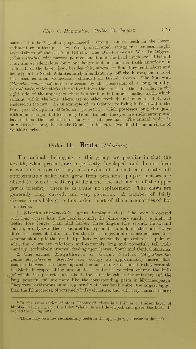 mass of blubber* (jaelding spermaceti); strong, conical teeth in the lower, ruclimentai-y, in the upper jaw. Widely distributed; stragglers have been caught several times off the coasts of Britain. The Bottle-nose Whale {Hyper- oodon rostratus), with narrow, pointed snout, and the head much arched behind this; almost edentulous (only one larger and one smaller tooth anteriorly in each half of the lower jaw; besides this, several rudimentary teeth above and below); in the North Atlantic, fairly abundant, e.g., off the Faroes, and one of the most common Cetaceans; stranded on British shores. The Narwal {Monodon monoceros) is characterised by the possession of a long, spirally- tAvisted tnsk, which sticks straight out from the mouth on the left side; in the right side of the upper jaw, there is a similar, but much smaller tooth, which remains within the bone; there are no other teeth; f in the female, both are enclosed in the jaw. As an example of an Odontocete living in fresh water, the Ganges Dol^jhin {Platanista gangetica), which jjossesses long, thin jaws with numerous pointed teeth, may be mentioned; the eyes are rudimentaiy, and have no lens; the skeleton is in many respects peculiar. The animal, which is only 2 to 3 m. long, lives in the Ganges, Indus, etc. Two allied forms in rivers of South America. Order 11. Bruta {Edentata). Tlie animals belonging to this group are peculiar in that the teeth, when present, are imperfectly developed, and do not form a continuous series; they are devoid of enamel, are usually all approximately alike, and grow from jDersistent pulps : incisors are absent (in one of the Dasypodid^ alone, the last incisor of the upper jaw is present) : there is, as a rule, no replacement. The claws are generally long, curved, and very powerful. A number of fairly diverse forms belong to this order; most of them are natives of hot countries. 1. Sloths (Bradypodidie: genus Bradypus, etc.). The body is covered with long coarse hair; the head is round; the piimaj very small; ^ cylindi-ical teeth; fore longer than hind limbs; three fingers (the second, third, and fom-th), or only two (the second and third); on the hind limbs there are always thi'ee toes (second, third, and foiu-th); both fingers and toes are enclosed in a common skin up to the teiiuinal phalanx, which can be opposed to the palm or sole; the claws are falciform and extremely long and powerful; tail rudi- mentary ; exclusively arboreal, feeding upon leaves; South and Central America. 2. The extinct Megatheria or Giant Sloths {Megatheriidce: genus Megatherium, Mtjlodon, etc.) occupy an approximately intermediate position between the foregoing and the succeeding divisions, for they resemble the Sloths in respect of the head and teeth, whilst the vertebral column, the limbs ;,^(of which the posterior are about the same length as the anterior) and the long powerful tail are more like the coiTesponding parts in Myi-mecophaga. They were herbivorous animals, generally of considerable size (the largest bigger than the Rhinoceros), of extremely bulky structm-e, and with very massive bones ; * In the same region of other Odontoceti, there is a thinner or thicker layer of bhibber, which in, e.g., the Pilot Whale, is well developed, and gives the head its arched form (Fig. 420). t There may be a few rudimentary teeth in the upper jaw, posterior to the tusk.