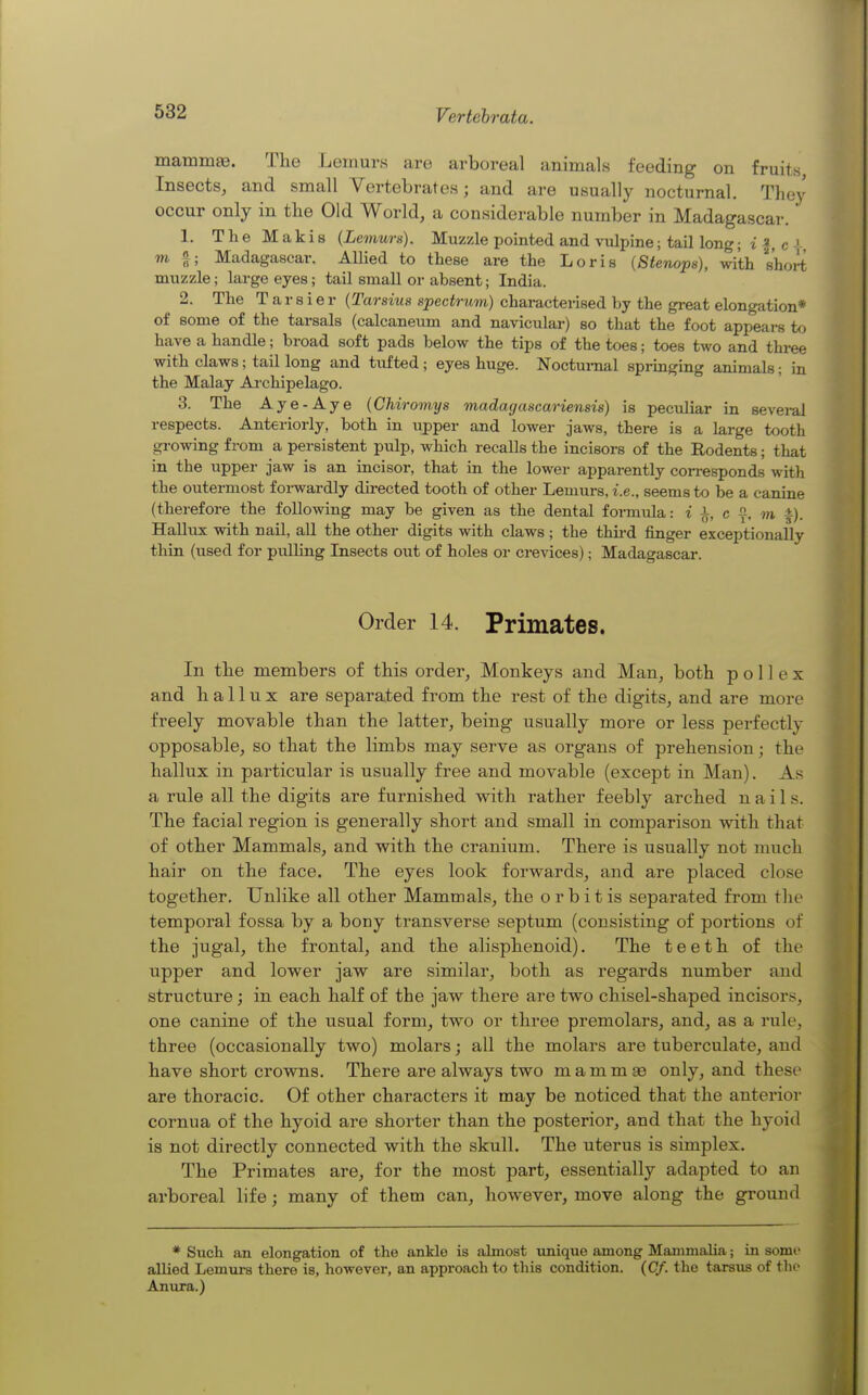mammae. The Lemurs are arboreal animals feeding on fruits, Insects, and small Vertebrates; and are usually nocturnal. They occur only in the Old World, a considerable number in Madagascar. 1. TheMakis {Lemura). Muzzle pointed and vulpine; tail long; i ^, c •, m f; Madagascar. AUied to these are the Loris (Stenops), with short muzzle; large eyes; tail small or absent; India. 2. The T a r s i e r {Tarsius spectrum) characterised by the great elongation* of some of the tarsals (calcaneum and navicular) so that the foot appears to have a handle; broad soft pads below the tips of the toes; toes two and three with claws; tail long and tufted ; eyes huge. Nocturnal springing animals; in the Malay Ai-chipelago. 3. The Aye-Aye {Chiromys madagascariensis) is peculiar in sevei-al respects. Anteriorly, both in upper and lower jaws, there is a large tooth growing from a persistent pulp, which recalls the incisors of the Rodents; that in the upper jaw is an incisor, that in the lower apparently con-esponds with the outermost forwardly du-ected tooth of other Lemurs, i.e., seems to be a canine (therefore the following may be given as the dental formula: i i, c a, ±)_ Hallux with nail, all the other digits with claws; the thii-d finger exceptionally thin (used for pulling Insects out of holes or crevices); Madagascar. Order 14. Primates. In the members of this order, Monkeys and Man, both p o 11 e x and hallux are separated from the rest of the digits, and are more freely movable than the latter, being usually more or less perfectly opposable, so that the limbs may serve as organs of prehension; the hallux in particular is usually free and movable (except in Man). As a rule all the digits are furnished with rather feebly arched nails. The facial region is generally short and small in comparison with that of other Mammals, and with the cranium. There is usually not much hair on the face. The eyes look forwards, and are placed close together. Unlike all other Mammals, the orbit is separated from the temporal fossa by a bony transverse septum (consisting of portions of the jugal, the frontal, and the alisphenoid). The teeth of the upper and lower jaw are similar, both as regards number and structure; in each half of the jaw there are two chisel-shaped incisors, one canine of the usual form, two or three premolars, and, as a rule, three (occasionally two) molars; all the molars are tuberculate, and have short crowns. There are always two mammse only, and these are thoracic. Of other characters it may be noticed that the anterior cornua of the hyoid are shorter than the posterior, and that the hyoid is not directly connected with the skull. The uterus is simplex. The Primates are, for the most part, essentially adapted to an arboreal life; many of them can, however, move along the ground * Such an elongation of the ankle is almost unique among Mammalia; in some allied Lemurs there is, however, an appi-oach to this condition. (Cf. the tarsus of the Anura.)
