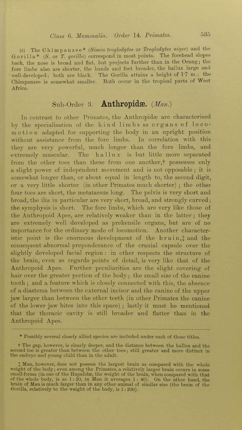 (c) The Chimpanzee* (Simia troglodytes or Troglodytes niger) and the Gorilla* {S. or T. gorilla) correspond in most points. The forehead slopes back, the nose is broad and flat, but projects further than in the Orang; the fore limbs also are shorter, the hands and feet broader, the hallux large and well-developed; both are black. The Gorilla attains a height of 1-7 m.; the Chimpanzee is somewhat smaller. Both occiu- in the tropical parts of West Africa. Sub-Ordev 3. AnthropidaB. {Man.) In contrast to otlier Primates, the Anthropidffi are characterised by the specialisation of the bind limbs as organs of loco- in o t i 0 n adapted for supporting tbe body in an upright position without assistance from the fore limbs. In correlation with this they are veiy powerful, much longer than the fore limbs, and extremely muscular. The hallux is but little more separated from the other toes than these from one another,t possesses only a slight power of independent movement and is not opposable; it is somewhat longer than^ or about equal in length to, the second digit, or a very little shorter (in other Primates much shorter) ; the other four toes are short, the metatarsus long. The pelvis is very short and broad, the ilia in particular are very short, broad, and strongly curved; the symphysis is short. The fore limbs, which are very like those of the Anthropoid Apes, are relatively weaker than in the latter; they are extremely well developed as prehensile organs, but are of no importance for the ordinary mode of locomotion. Another character- istic point is the enormous development of the brain,J and the consequent abnormal preponderance of the cranial capsule over the slightly developed facial region : in other respects the structure of the brain, even as regards points of detail, is very like that of the Anthropoid Apes. Further peculiarities are the slight covering of hair over the greater portion of the body; the small size of the canine tooth; and a feature which is closely connected with this^ the absence of a diastema between the external incisor and the canine of the upper jaw larger than between the other teeth (in other Primates the canine of the lower jaw bites into this space) ; lastly it must be mentioned that the thoracic cavity is still broader and flatter than in the Anthropoid Apes. * Possibly several closely allied species are included imder each of these titles. t The gap, however, is clearly deeper, and the distance between the hallux and the second toe is greater than between the other toes; still greater and more distinct in the embryo and young child than in the adult. X Man, however, does not possess the largest brain as compared with the whole weight of the body; even among the Primates, a relatively larger brain occurs in some small forms (in one of the Hapalidse, the weight of the brain, when compared with that of the whole body, is as 1: 20, in Man it averages 1: 40). On the other hand, the brain of Man is m\ich larger than in any other animal of similar size (the brain of the Oorilla, relatively to the weight of the body, is 1: 200). V