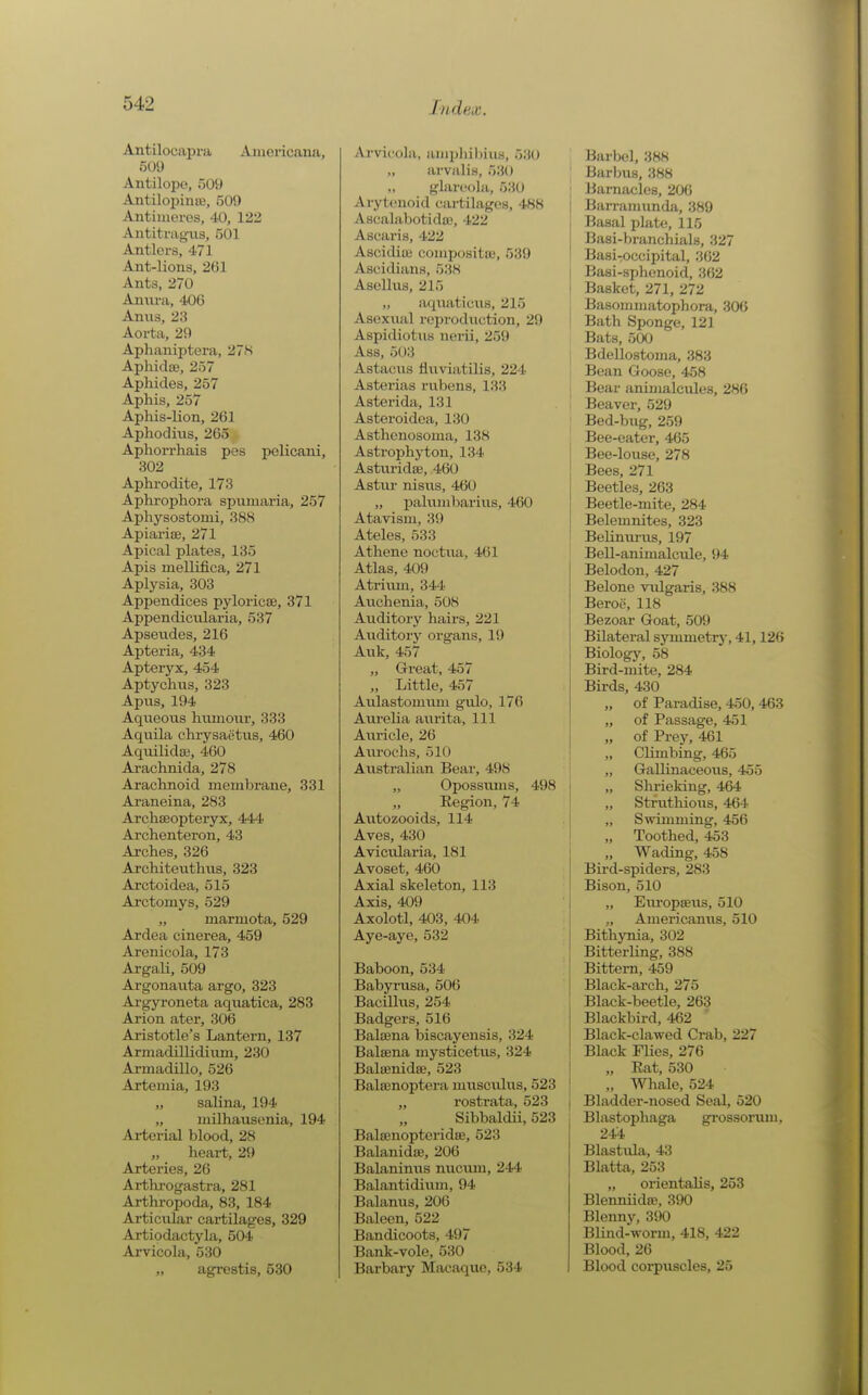 Antilocapra Americana, 509 Antiloi)o, 509 Antilojiince, 509 Antiineros, 40, 122 Antitragais, 501 Antlers, 4.71 Ant-lions, 261 Ants, 270 Anura, 400 Anns, 23 Aorta, 29 Aphaniptera, 27S Aphidae, 257 Aphides, 257 Aphis, 257 Aphis-lion, 261 Aphodius, 265 Aphorrhais pes pelicani, 302 Aphrodite, 173 Aphrophora sijumaria, 257 Aphysostomi, 388 Apiariae, 271 Apical plates, 135 Apis mellifica, 271 Aplysia, 303 Appendices pyloricse, 371 AppendicLilaria, 537 Apseiides, 216 Apteria, 434 Apteryx, 454 Aptychus, 323 Apns, 194 Aqueous hmuonr, 333 Aquila chrysaetus, 460 Aquilidaj, 460 Arachnida, 278 Arachnoid membrane, 331 Araneina, 283 ArchsBopteryx, 444 Archenteron, 43 Arches, 326 Arohiteuthus, 323 Arctoidea, 515 Arctomys, 529 „ marmota, 529 Ardea cinerea, 459 Arenicola, 173 Argali, 509 Argonauta argo, 323 Argyroneta aqxiatica, 283 Arion ater, 306 Aristotle's Lantern, 137 Armadillidinm, 230 Armadillo, 526 Artcmia, 193 „ salina, 194 „ milhansenia, 194 Ai-terial blood, 28 „ heart, 29 Arteries, 26 Arthi-ogastra, 281 Arthropoda, 83, 184 Articular cartilages, 329 Artiodactyla, 504 Arvicola, 530 „ agrestis, 530 Arvicola, anipliil)iiis, 530 „ arvalis, 530 glarcola, 530 Arytenoid cartilages, 488 Ascalabotida3, 422 Ascaris, 422 Ascidiua compositaa, 539 Ascidians, 538 AscUus, 215 „ iUiuaticus, 215 Asexual rei)roduction, 29 Aspidiotus nerii, 259 Ass, 503 Astacus fluviatilis, 224 Asterias rubens, 133 Asterida, 131 Asteroidea, 130 Asthonosoma, 138 Astrophyton, 134 Astui'idse, 460 Astur nisns, 460 „ palumbarius, 460 Atavism, 39 Ateles, 533 Athene noctua, 461 Atlas, 409 Atriiim, 344 Avichenia, 508 Auditory haii'S, 221 Auditory organs, 19 Auk, 457 „ Great, 457 „ Little, 457 Aulastomiun giilo, 176 Aurelia aurita. 111 Auricle, 26 Aurochs, 510 Aiistralian Bear, 498 „ Opossums, 498 „ Region, 74 Autozooids, 114 Aves, 430 Avicularia, 181 Avoset, 460 Axial skeleton, 113 Axis, 409 Axolotl, 403, 404 Aye-aye, 532 Baboon, 534 Babyrusa, 506 Bacillus, 254 Badgers, 516 Balsena biscayensis, 324 Baleena mysticetus, 324 Baluenidse, 523 Bala3noptera musculus, 523 „ rostrata, 523 Sibbaldii, 523 Balajnopteridse, 523 Balanidaj, 206 Balaninus nucum, 244 Balantidium, 94 Balanus, 206 Baleen, 522 Bandicoots, 497 Bank-vole, 530 Barbary Macaque, 534 Barbel, 388 Barbus, 388 Barnacles, 206 Barranmnda, 389 Basal plate, 115 Basi-braJichials, 327 Basi-occipital, 362 Basi-sphenoid, 362 Basket, 271, 272 Basommatophora, 306 Bath Sponge, 121 Bats, 500 ; Bdellostoma, 383 Bean Goose, 458 Bear animalcules, 286 Beaver, 529 Bed-bug, 259 ' Bee-eater, 465 Bee-louse, 278 ! Bees, 271 Beetles, 263 Beetle-mite, 284 Belemnites, 323 Belinurus, 197 Bell-animalcule, 94 Belodon, 427 Belone vulgaris, 388 Beroe, 118 Bezoar Goat, 509 Bilateral symmetry, 41,126 Biology, 58 Bird-mite, 284 Birds, 430 „ of Paradise, 450,463 „ of Passage, 451 „ of Prey, 461 „ Climbing, 465 „ Gallinaceoiis, 455 „ Shrieking, 464 ! „ Stfuthioiis, 464 I „ Swimming, 456 I „ Toothed, 453 „ Wading, 458 Bird-spiders, 283 Bison, 510 „ Eiu-opseus, 510 ! „ Americanus, 510 Bithynia, 302 Bitterling, 388 Bittern, 459 Black-arch, 275 Black-beetle, 263 Blackbird, 462 Black-clawed Crab, 227 Black Flies, 276 „ Rat, 530 I „ Whale, 524 i Bladder-nosed Seal, 520 Blastophaga grossorum, 24'4 Blastula, 43 Blatta, 253 „ orientalis, 253 Blenniida3, 390 Blenny, 390 Blind-worm, 418, 422 Blood, 26 Blood corpuscles, 25