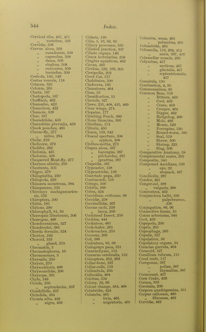 Cervical ribs, 437, 471 „ vertebrce, ;i2() Corvidai, 508 Cervus alces, 509 „ canadensis, 509 capreolus, 508 dania, 508 „ olephns, 508 „ onryceros, 509 „ tarandus, 509 Cestoda, 143, 149 Cestns veneris, 118 Cetacea, 520 Cetonia, 265 Cha3ta, 167 ChiBtopoda, 167 Chaffinch, 462 Chamseleo, 422 Chameleon, 422 Chamois, 509 Char, 387 Charadi-iidse, 459 Charadriiis pliivialis, 459 Cheek pouches, 485 Cheese-fly, 277 „ mites, 284 Chelae, 219 CheliceriE, 279 Chehfer, 282 Chelonia, 425 Chelonia3, 426 Chequered Meat-fly, 277 Chermes abietis, 258 Chestnuts, 503 Cliigoe, 278 Chilognatha, 230 Chilopoda, 229 Chimtera monstrosa, 384 Chimpanzee, 535 Chiromys madagascarien^ sis, 532 Chiroptera, 500 Chitin, 185 Chitons, 290 Chlorophyll, 81, 95 Chceropsis liberiensis, 506 Choeropiis, 498 Chondocraniiim, 327 Chondrostei, 385 Chorda dorsalis, 324 Chorion, 242 Choroid, 333 gland, 370 Chromatin, 5 Chromatophores, 10 Chromosomes, 5 Chrysalis, 250 Chrysis, 270 Chrysochloris, 499 Chrysomelidse, 266 Chrysopa, 261 Chyle, 348 Cicada, 256 „ septendecim, 257 Cicadellidae, 257 Cicindela, 264 Ciconia alba, 459 „ nigra, 459 'I Cidaris, 138 J Cilia, 5, 1(), 92, 95 Ciliary processes, 333 Ciliated jimction, 307 Ciliate organs, 14(5 Cimex loctnlarius, 259 Cinglus aqiiaticus, 462 Circus, 4(i0 Cirrhus, 129, 169, 205 Cirripedia, 203 Civet Cat, 517 Cladobates, 500 i Cladocera, 195 Clamatores, 464 Class, 55 Classiflcation, 53 Clavicle, 327 Claws, 235, 408, 435, 469 Clear wings, 274 Clepsine, 177 Climbing Perch, 389 Clione limaeina, 305 Clitellimi, 174 Clitoris, 450 Cloaca, 159, 342 Cloacal aperture, 308 „ syphon, 308 Clothes-moths, 273 Clupea alosa, 387 „ harengris, 387 ,, f)ilchardus, 387 „ sprattiis, 387 Clupeidse, 387 Clypeaster, 138 Clypeastridse, 138 Coarctate pupa, 250 Coatimondi, 516 Cobego, 500 Cobitis, 388 Cobra, 424 Coccidium oviforme, 96 Coccidse, 258 Coccinellidse, 267 Coccus cacti, 259 „ lacca, 259 Cochineal Insect, 259 Cochlea, 444 Cockatoos, 465 Cockchafer, 265 Cocki'oaches, 253 Cocoons, 269 Cod, 388 Ccelentera, 83, 98 Coelogenys paca, 531 Ccenenchyme, 113 Ccenm-us cerebralis, 152 Coleoptera, 252, 263 Collar-bone, 327 CoUar-ceUs, 119 Collembola, 256 CoUocalia, 464 Colobus, 534 Colony, 32, 66 Colour change, 434, 468 ColubridiB, 424 Columba, 465 „ livia, 465 „ migi'atoria, 465 Columba, oenas, 465 „ palumbus, 4^)5 Columbidffi, 465 Columella, 116, 294, 412 „ auris, 397, 416 Columellar muscle, 295 Colyinbus, 457 „ arcticuB, 457 „ glacialis, 457 „ septentrionalis, 457 Comatula, 130 Combustion, 4, 30 Commensalism, 65 Common Bear, 516 Bittern, 459 Coot, 459 „ Crane, 459 „ Creeper, 464 „ Dipper, 462 Hedgehog, 499 Mole, 499 Mouse, 529 „ Porcupine, 530 ,, Round-worm, 160 Seal, 519 Shrew, 500 Shrimp, 223 Slug, 306 Comparative Anatomy, 58 Complemental males, 205 Compositae, 540 Compotmd Ascidians, 539 eye, 22 „ stomach, 487 ConchioUn, 287 Condor, 461 Conger-eel, 388 „ vulgai-is, 388 Conirostres, 462 Conjunctiva bulbi, 336 „ palpebrarum, 336 Conjugation, 86, 96 Connective tissue, 10 Conus arteriosus, 344 Coot, 459 Copepoda, 200 Copris, 265 Coprophaga, 265 Copulse, 327 Copulation, 36 Copulatory organs, 34 Coracias garrula, 464 Coracoid, 327 CoraUium rubrtmi, 115 Coral reefs, 117 Coregonus, 387 pollan, 387 „ thymallus, 387 Cormorant, 457 Com Crake, 459 Cornea, 333 Coronula, 206 Corpora quadrigemina, 331 Corpus callosum, 480 „ fibrosum, 493 Corvidse, 463