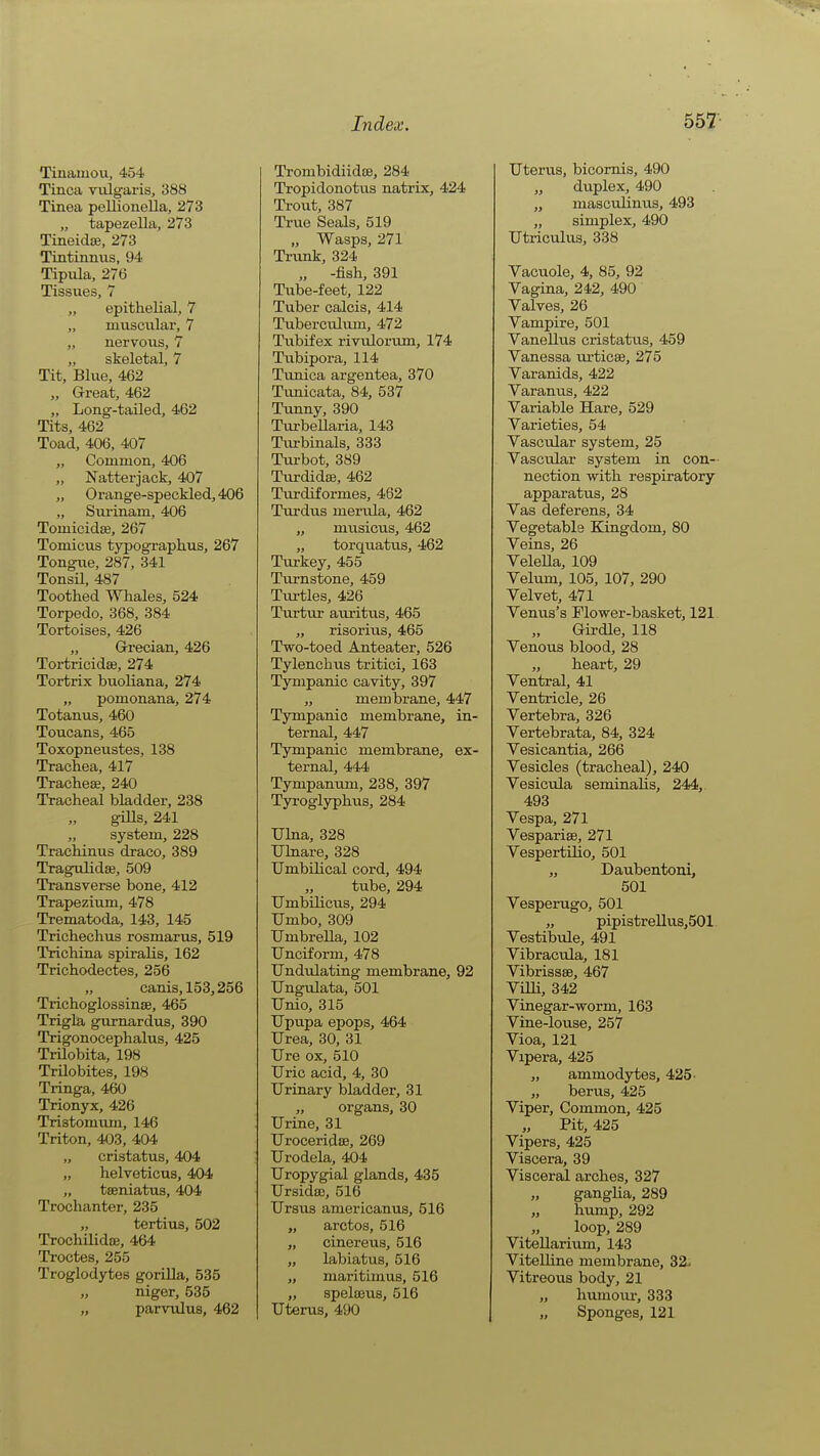 Tinamou, 454 Tinea vulgaris, 388 Tinea pellionella, 273 „ tapezella, 273 Tineidse, 273 Tintinnus, 94 Tipula, 276 Tissues, 7 „ epithelial, 7 „ muscular, 7 „ nervous, 7 „ skeletal, 7 Tit, Blue, 462 „ Great, 462 „ Long-tailed, 462 Tits, 462 Toad, 406, 407 „ Common, 406 „ Natterjack, 407 „ Orange-speckled, 406 „ Siirinam, 406 Tomicidffi, 267 Tomicus typographus, 267 Tongue, 287, 341 Tonsil, 487 Toothed Whales, 524 Torpedo, 368, 384 Tortoises, 426 „ Grecian, 426 Tortricidse, 274 Tortrix buoliana, 274 „ pomonana, 274 Totanus, 460 Toucans, 465 Toxopneustes, 138 Trachea, 417 Tracheae, 240 Tracheal bladder, 238 giUs, 241 „ system, 228 Trachinus draco, 389 Tragulidse, 509 Transverse bone, 412 Trapezium, 478 Trematoda, 143, 145 Trichechus rosmarus, 519 Trichina spiralis, 162 Trichodectes, 256 „ canis,153,256 Trichoglossinse, 465 Trigla gurnardus, 390 Trigonocephalus, 425 Trilobita, 198 Trilobites, 198 Tringa, 460 Trionyx, 426 Tristomum, 146 Triton, 403, 404 „ cristatus, 404 „ helveticus, 404 „ tseniatus, 404 Trochanter, 235 „ tertius, 502 Trochilidffi, 464 Troctes, 255 Troglodytes gorilla, 535 „ niger, 535 „ parvulus, 462 Trombidiidce, 284 Tropidonotus natrix, 424 Trout, 387 True Seals, 519 „ Wasps, 271 Trunk, 324 „ -fish, 391 Tube-feet, 122 Tuber calcis, 414 Tuberculum, 472 Tubifex rivvilorum, 174 Tvibipora, 114 Tunica argentea, 370 Tunicata, 84, 537 Tunny, 390 Turbellaria, 143 Tiu:-binals, 333 Turbot, 389 Turdidas, 462 Turdiformes, 462 Turdus merula, 462 „ mvisicus, 462 „ torquatus, 462 Turkey, 455 Turnstone, 459 Tui-tles, 426 Tui'tur auritus, 465 „ risoriiis, 465 Two-toed Anteater, 526 Tylenchus tritici, 163 Tympanic cavity, 397 „ membrane, 447 Tympanic membrane, in- ternal, 447 Tympanic membrane, ex- ternal, 444 Tympanum, 238, 397 Tyroglyphus, 284 Ulna, 328 Ulnare, 328 Umbilical cord, 494 tube, 294 Umbilicus, 294 Umbo, 309 Umbrella, 102 Unciform, 478 Undulating membrane, 92 Ungulata, 501 Unio, 315 Upupa epops, 464 Urea, 30, 31 Ure ox, 510 Uric acid, 4, 30 Urinary bladder, 31 „ organs, 30 Urine, 31 Uroceridse, 269 Urodela, 404 Uropygial glands, 435 Ursidsc, 516 Ursus americanus, 516 „ arctos, 516 „ cinereus, 516 „ labiatus, 516 „ maritimus, 516 „ spelasus, 516 Uterus, 490 Uterus, bicomis, 490 duplex, 490 „ masculinus, 493 „ simplex, 490 Utriculus, 338 Vacuole, 4, 85, 92 Vagina, 242, 490 Valves, 26 Vampire, 501 Vanellu.s cristatus, 459 Vanessa urticse, 275 Varanids, 422 Varanus, 422 Variable Hare, 529 Varieties, 54 Vascular system, 25 Vascular system in con-- nection with respiratory apparatus, 28 Vas deferens, 34 Vegetable Kingdom, 80 Veins, 26 VeleUa, 109 Velum, 105, 107, 290 Velvet, 471 Venus's Flower-basket, 121 Girdle, 118 Venous blood, 28 „ heart, 29 Ventral, 41 Ventricle, 26 Vertebra, 326 Vertebrata, 84, 324 Vesicantia, 266 Vesicles (tracheal), 240 Vesicula seminalis, 244,. 493 Vespa, 271 Vespariae, 271 VespertUio, 501 „ Daubentoni, 501 Vesperugo, 501 „ pipistreUus,501 Vestibule, 491 Vibracula, 181 Vibrissse, 467 Vim, 342 Vinegar-worm, 163 Vine-louse, 257 Vioa, 121 Vipera, 425 „ ammodytes, 425- „ berus, 425 Viper, Common, 425 „ Pit, 425 Vipers, 425 Viscera, 39 Visceral arches, 327 „ ganglia, 289 „ hump, 292 loop, 289 ViteUarium, 143 Vitelline membrane, 32. Vitreous body, 21 „ humom-, 333 „ Sponges, 121