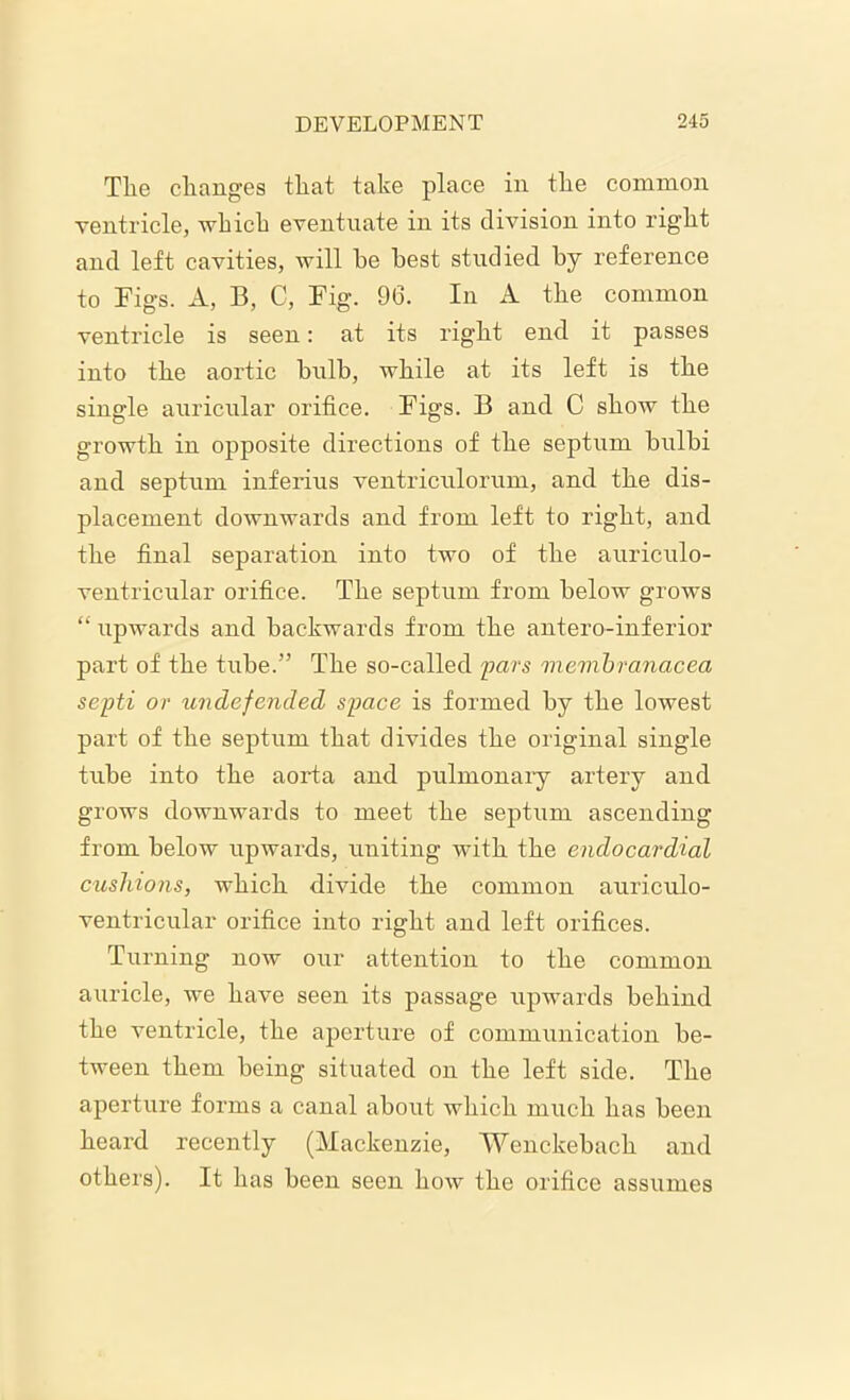 Tlie changes that take place in the common ventricle, which eventuate in its division into right and left cavities, will he best studied by reference to Figs. A, B, C, Fig. 96. In A the common ventricle is seen: at its right end it passes into the aortic bulb, while at its left is the single auricular orifice. Figs. B and C show the growth in opposite directions of the septum bulbi and septum inferius ventriculorum, and the dis- placement downwards and from left to right, and the final separation into two of the auriculo- ventricular orifice. The septum from below grows “ upwards and backwards from the antero-inferior part of the tube.” The so-called pars mennbranacea septi or undefended space is formed by the lowest part of the septum that divides the original single tube into the aorta and pulmonary artery and grows downwards to meet the septum ascending from below upwards, uniting with the endocardial cushions, which divide the common auriculo- ventricular orifice into right and left orifices. Turning now our attention to the common auricle, we have seen its passage upwards behind the ventricle, the aperture of communication be- tween them being situated on the left side. The aperture forms a canal about which much has been heard recently (Mackenzie, Wenckebach and others). It has been seen how the orifice assumes