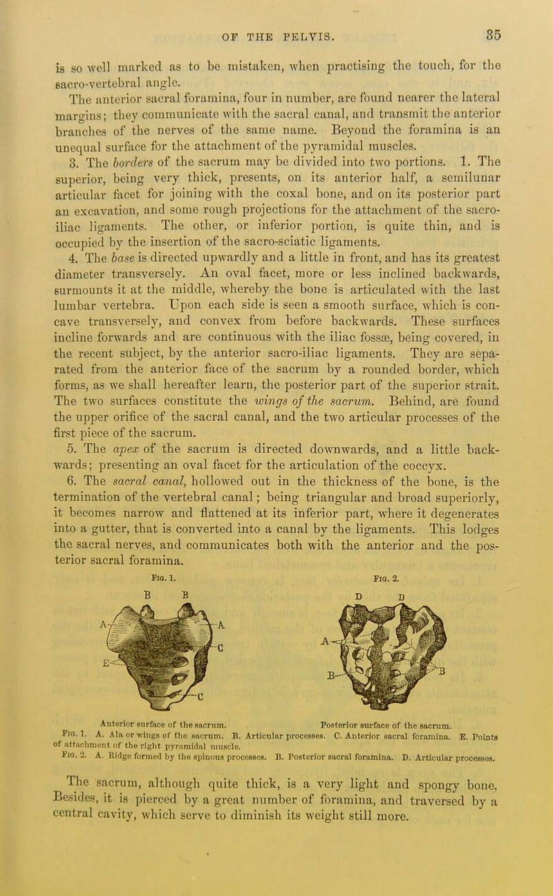 is so wel] marked as to be mistaken, Avlien practising the touch, for the eacro-vertebral angle. The anterior sacral foramina, four in number, are found nearer the lateral margins; they communicate with the sacral canal, and transmit the anterior branches of the nerves of the same name. Beyond the foramina is an unequal surface for the attachment of the pyramidal muscles. 3. The borders of the sacrum may be divided into two portions. 1. The superior, being very thick, presents, on its anterior half, a semilunar articular facet for joining with the coxal bone, and on its posterior part an excavation, and some rough projections for the attachment of the sacro- iliac ligaments. The other, or inferior portion, is quite thin, and is occupied by the insertion of the sacro-sciatic ligaments. 4. The base is directed upwardly and a little in front, and has its greatest diameter transversely. An oval facet, more or less inclined backwards, surmounts it at the middle, whereby the bone is articulated with the last lumbar vertebra. Upon each side is seen a smooth surface, Avhich is con- cave transversely, and convex from before backwards. These surfaces incline forwards and are continuous with the iliac foss£e, being covered, in the recent subject, by the anterior sacro-iliac ligaments. They are sepa- rated from the anterior face of the sacrum by a rounded border, which forms, as we shall hereafter learn, the posterior part of the superior strait. The two surfaces constitute the wings of the sacrum. Behind, are found the upper orifice of the sacral canal, and the two articular processes of the first piece of the sacrum. 5. The apex of the sacrum is directed downwards, and a little back- wards ; presenting an oval facet for the articulation of the coccyx. 6. The sacral canal, hollowed out in the thickness of the bone, is the termination of the vertebral canal; being triangular and broad superiorly, it becomes narrow and flattened at its inferior part, where it degenerates into a gutter, that is converted into a canal by the ligaments. This lodges the sacral nerves, and communicates both with the anterior and the pos- terior sacral foramina. Fio. 1. Fia. 2. B B D D Anterior surface of the sacrum. Posterior surface of tlie sacrum. Fio. 1. A. Ala or wings of tlio sacrum. B. Articular processes. C. Anterior sacral foramina. E. Pointa of attachment of the right pyrnniidal muscle. Fio. 2. A. Uidgo formed by the spinous processes. B. Posterior sacral foramina. D. Articular processes. The sacrum, although quite thick, is a very light and spongy bone. Besides, it is pierced by a great number of foramina, and traversed by a central cavity, which serve to diminish its weight still more.