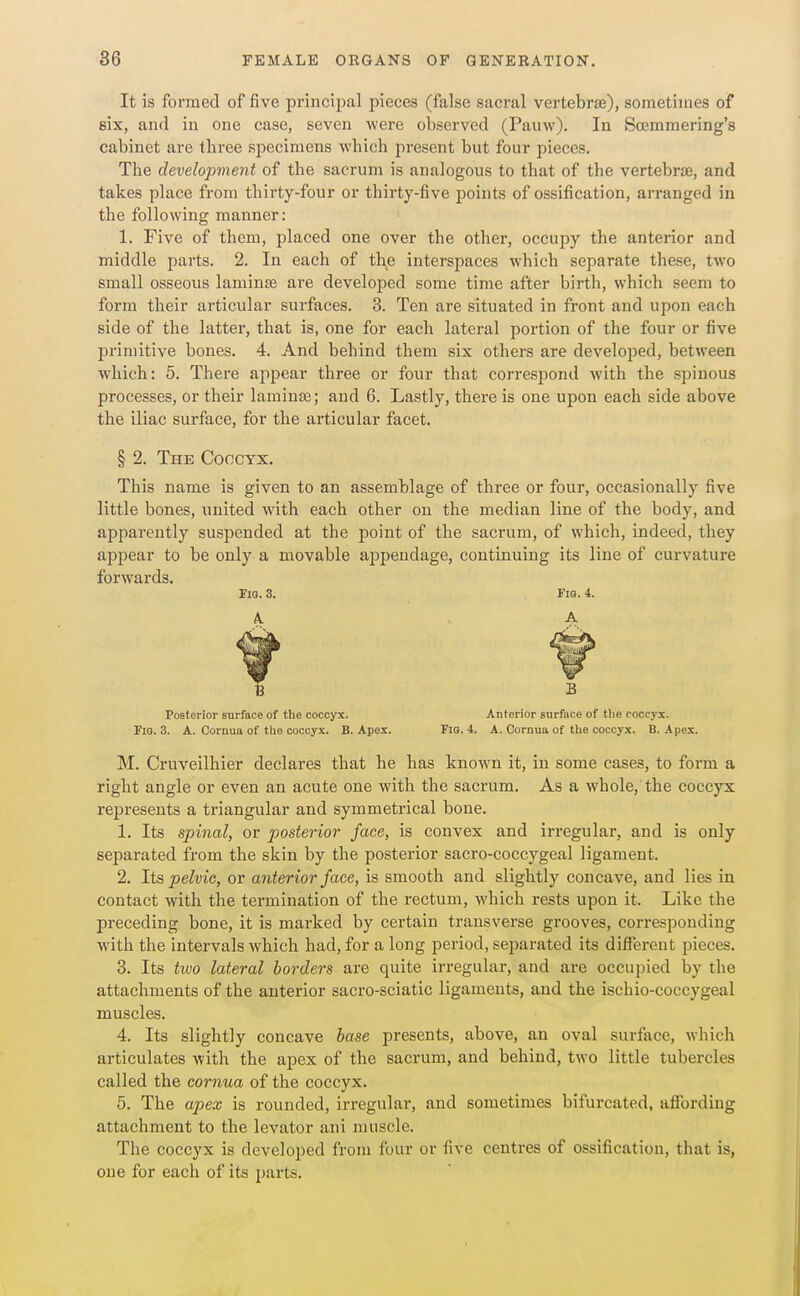 It is formed of five principal pieces (false sacral vertebrje), sometimes of six, and in one case, seven were observed (Pauw). In Soemmering's cabinet are tliree specimens which present but four pieces. The development of the sacrum is analogous to that of the vertebrae, and takes place from thirty-four or thirty-five points of ossification, arranged in the following manner: 1. Five of them, placed one over the other, occupy the anterior and middle parts. 2. In each of the interspaces which separate these, two small osseous laminse are developed some time after birth, which seem to form their articular surfaces. 3. Ten are situated in front and upon each side of the latter, that is, one for each lateral portion of the four or five primitive bones. 4. And behind them six others are developed, between which; 5. There appear three or four that corresjjond with the spinous processes, or their laminse; and 6. Lastly, there is one upon each side above the iliac surface, for the articular facet. § 2. The Coccyx. This name is given to an assemblage of three or foui% occasionally five little bones, united Avith each other on the median line of the body, and apparently suspended at the point of the sacrum, of which, indeed, they aiDjDear to be only a movable appendage, continuing its line of curvature forwards. Fig. 3. Fio. 4. A. A B B Posterior surface of the coccyx. Anterior surface of tlie coccyx. FlO. 3, A. Cornua of tlio coccyx. B. Apex. Fig. 4. A. Cornua of tlie coccyx. B. Apex. M. Cruveilhier declares that he has known it, in some cases, to form a right angle or even an acute one with the sacrum. As a whole, the coccyx represents a triangular and symmetrical bone. 1. Its spinal, or posterior face, is convex and irregular, and is only separated from the skin by the posterior sacro-coccygeal ligament. 2. li?, pelvic, or anterior face, is smooth and slightly concave, and lies in contact with the termination of the rectum, which rests upon it. Like the preceding bone, it is marked by certain transverse grooves, corresponding with the intervals which had, for a long period, separated its different pieces. 3. Its two lateral borders are quite irregular, and are occupied by the attachments of the anterior sacro-sciatic ligaments, and the ischio-coccygeal muscles. 4. Its slightly concave base presents, above, an oval surface, which articulates with the apex of the sacrum, and behind, two little tubercles called the cornua of the coccyx. 5. The apex is rounded, irregular, and sometimes bifurcated, affording attachment to the levator ani muscle. The coccyx is developed from four or five centres of ossification, that is, one for each of its parts.