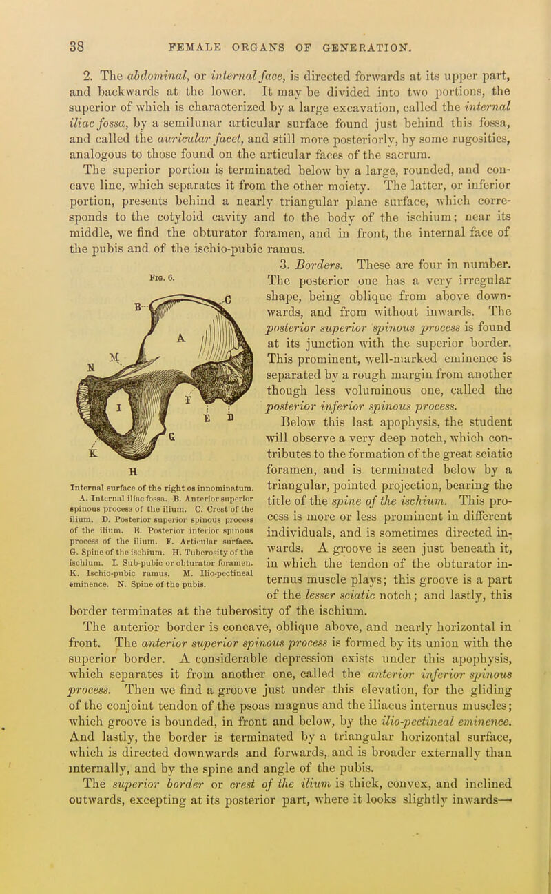 2. The abdominal, or internal face, is directed for^vards at its upper part, and backwards at the lower. It may be divided into two portions, the superior of whicli is characterized by a large excavation, called the internal iliac fossa, by a semilunar articular surface found just behind this fossa, and called the auricular facet, and still more posteriorly, by some rugosities, analogous to those found on the articular faces of the sacrum. The superior portion is terminated below by a large, rounded, and con- cave line, which separates it from the other moiety. The latter, or inferior portion, presents behind a nearly triangular plane surface, which corre- sponds to the cotyloid cavity and to the body of the ischium; near its middle, we find the obturator foramen, and in front, the internal face of the pubis and of the ischio-pubic ramus. 3. Borders. These are four in number. The posterior one has a very irregular shape, being oblique from above down- wards, and from without inwards. The posterior superior spinous process is found at its junction Avith the superior border. This prominent, well-marked eminence is separated by a rough margin from another though less voluminous one, called the posterior inferior spinous process. Below this last apophysis, the student will observe a very deep notch, which con- tributes to the formation of the great sciatic foramen, and is terminated below by a triangular, pointed projection, bearing the title of the spine of the ischium. This pro- cess is more or less prominent in different individuals, and is sometimes directed in- wards. A groove is seen just beneath it, in which the tendon of the obturator in- ternus muscle plays; this groove is a part of the lesser sciatic notch; and lastly, this border terminates at the tuberosity of the ischium. The anterior border is concave, oblique above, and nearly horizontal in front. The anterior superior spinous process is formed by its union with the superior border. A considerable depression exists under this apophysis, which separates it from another one, called the anterior inferior spinous process. Then we find a groove just under this elevation, for the gliding of the conjoint tendon of the psoas magnus and the iliacus internus muscles; which groove is bounded, in front and below, by the ilio-pcctineal eminence. And lastly, the border is terminated by a triangular horizontal surface, which is directed downwards and forwards, and is broader externally than internally, and by the spine and angle of the pubis. The superior border or crest of the ilium is thick, convex, and inclined outwards, excepting at its posterior part, where it looks slightly inwards— Fio. 6. H Internal surface of the right ob innomino.tum. A. Internal iliac fossa. B. Anterior superior spinous procesa of the ilium. 0. Crest of the ilium. D. Posterior superior spinous process of the ilium. K. Posterior inferior spinous process of the ilium. F. Articular surface. G. Spine of the ischium. H. Tuberosity of the ischium. I. Sub-pubic or obturator foramen. K. Ischio-pubic ramus. M. Ilio-pectineal eminence. N. Spiue of the pubis.