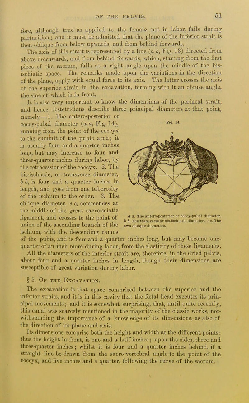 FlO. 14. fore, although true as applied to the fcraal<? not in labor, fails during parturition; and it must be admitted that th-j plane of the inferior strait is then oblique from below upwards, and from behind forwards. The axis of this strait is represented by a line (a b, Fig. 13) directed from above downwards, and from behind forwards, which, starting from the first piece of the sacrum, falls at a right angle upon the middle of the bis- ischiatic space. The remarks made upon the variations in the direction of the plane, apply with equal force to its axis. The latter crosses the axis of the superior strait in the excavation, foi-ming with it an obtuse angle, the sine of which is in front. It is also very important to know the dimensions of the perineal strait, and hence obstetricians describe three principal diameters at that point, namely—1. The antero-posterior or coccy-pubal diameter (a a, Fig. 14), running from the point of the coccyx to the sumiiiit of the pubic arch; it is usually four and a quarter inches long, but may increase to four and three-quarter inches during labor, by the retrocession of the coccyx. 2. The bis-ischiatic, or transverse diameter, b b, is four and a quarter inches in length, and goes from one tuberosity of the ischium to the other. 3. The oblique diameter, c c, commences at the middle of the great sacro-sciatic ligament, and crosses to the point of union of the ascending branch of the ischium, with the descending ramus of the pubis, and is four and a quarter inches long, but may become one- quarter of an inch more during labor, from the elasticity of these ligaments. All the diameters of the inferior strait are, therefore, in the dried pelvis, about four and a quarter inches in length, though their dimensions are susceptible of great variation during labor. § 5. Of the Excavation. The excavation is that space comprised between the superior and the inferior straits, and it is in this cavity that the foetal head executes its prin- cipal movements; and it is somewhat surprising, that, until quite recently, this canal was scarcely mentioned in the majority of the classic works, not- withstanding the importance of a knowledge of its dimensions, as also of the direction of its plane and axis. Its dimensions comprise both the height and width at the different points: thus the height in front, is one and a half inches; upon the sides, three and three-quarter inches; whilst it is four and a quarter inches behind, if a straight line be drawn from the sacro-vertebral angle to the point of the coccyx, and five inches and a quarter, following the curve of the sacrum. a a. The antero-posterior or coccy-pnbal diameter. 5 5. The transverse or bis-ischiatic diameter, c c. The two oblique diameters. V