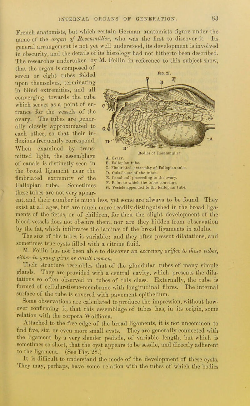 French anatomists, but Avhich certain German anatomists figure under the name of the organ of Rosenviuller, who was the first to discover it. Its general arrangement is not yet well understood, its development is involved in obscurity, and the details of its histology had not hitherto been described. The researches undertaken by M. Follin in reference to this subject show, that the organ is composed of seven or eight tubes folded upon themselves, terminating in blind extremities, and all converging towards the tube which serves as a point of en- trance for the vessels of the ovary. The tubes are gener- ally closely approximated to each other, so that their in- flexions frequently correspond. When examined by trans- mitted light, the assem|)lage of canals is distinctly seen in the broad ligament near the fimbriated extremity of the Fallopian tube. Sometimes these tubes are not very appar- ent, and their number is much less, yet some are always to be found. They exist at all ages, but are much more readily distinguished in the broad liga- ments of the foetus, or of children, for then the slight development of the blood-vessels does not obscure them, nor are they hidden from observation by the fat, which infiltrates the lamince of the broad ligaments in adults. The size of the tubes is variable: and they often present dilatations, and sometimes true cysts filled with a citrine fluid. M. Follin has not been able to discover an excretory orifice to these tubes, either in young girls or adult xvomen. Their structure resembles that of the glandular tubes of many simple glands. They are provided with a central cavity, which presents the dila- tations so often observed in tubes of this class. Externally, the tube is formed of cellular-tissue-membrane with longitudinal fibres. The internal surface of the tube is covered with pavement epithelium. Some observations are calculated to produce the impression, without how- ever confirming it, that this assemblage of tubes has, in its origin, some relation with the corpora WolflSana. Attached to the free edge of the broad ligaments, it is not uncommon to find five, six, or even more small cysts. They are generally connected with the ligament by a very slender pedicle, of variable length, but which is sometimes so short, that the cyst appears to be sessile, and directly adherent to the ligament. (See Fig. 28.) It is difficult to understand the mode of the development of these cysts. They may, perhaps, have some relation with the tubes of which the bodies Via. 27. Bodies of RosenmUller. A. Ovary. B. Fallopian tube. 0. Finiliriiited extremity of Fallopian tube. D. Culs-de-sac of the tubes. E. CanaliCHli proceeding to the ovary. F. Point to which the tubes converge. G. Vesicle appended to the Fallopian tube.