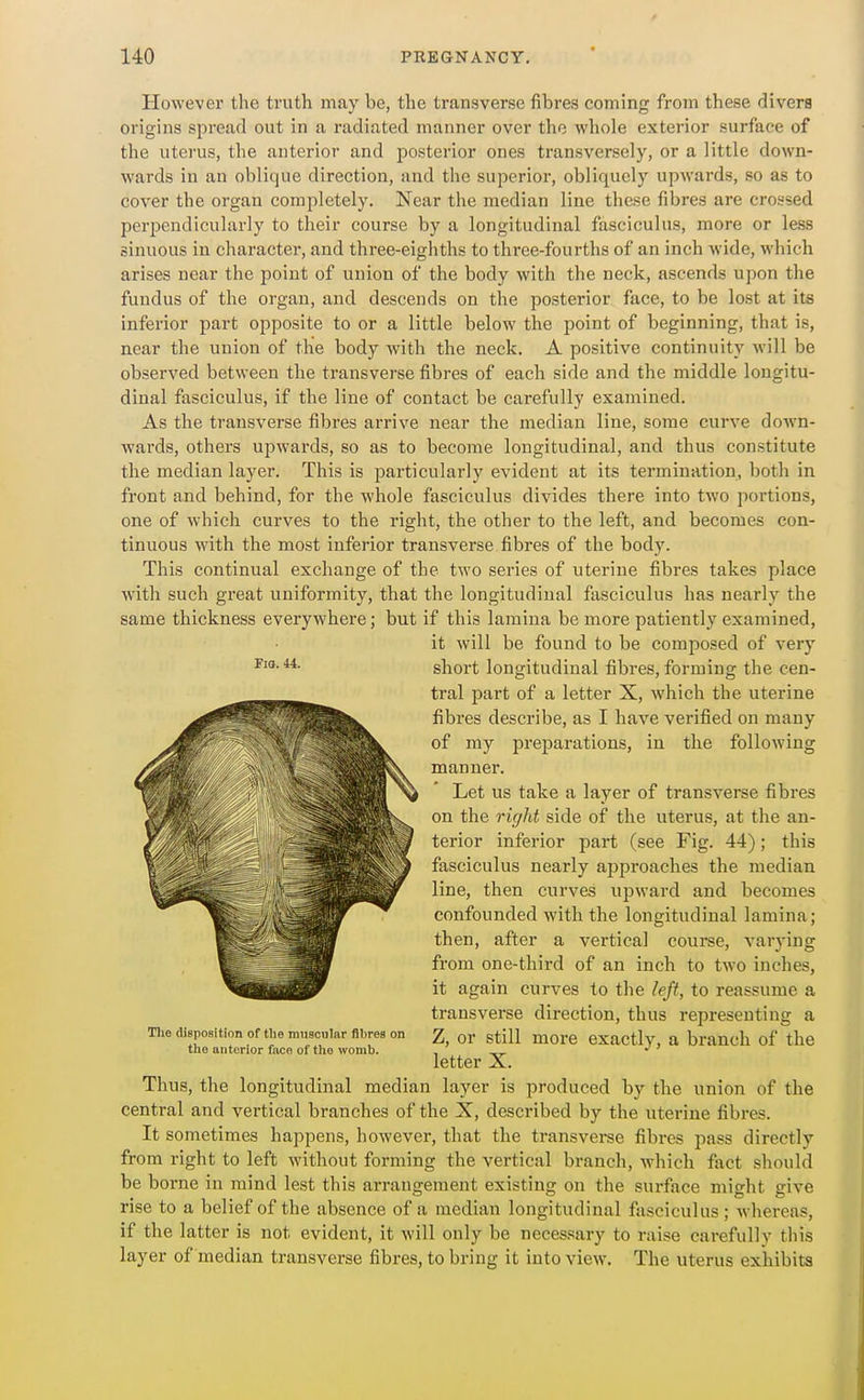 Fio. 44. However the truth may be, the transverse fibres coming from these diverB origins spread out in a radiated manner over the whole exterior surface of the uterus, the anterior and posterior ones transversely, or a little down- wards in an oblique direction, and the superior, obliquely upwards, so as to cover the organ completely. Near the median line these fibres are crossed perpendicularly to their course by a longitudinal fasciculus, more or less sinuous in character, and three-eighths to three-fourths of an inch wide, which arises near the point of union of the body with the neck, ascends upon the fundus of the organ, and descends on the posterior face, to be lost at its infei'ior part opposite to or a little below the point of beginning, that is, near the union of the body with the neck. A positive continuity will be observed between the transverse fibres of each side and the middle longitu- dinal fasciculus, if the line of contact be carefully examined. As the transverse fibres arrive near the median line, some curve down- wards, others upwards, so as to become longitudinal, and thus constitute the median layer. This is particularly evident at its termination, both in front and behind, for the whole fasciculus divides there into two portions, one of which curves to the right, the other to the left, and becomes con- tinuous with the most inferior transverse fibres of the body. This continual exchange of the two series of uterine fibres takes place with such great uniformity, that the longitudinal fasciculus has nearly the same thickness everywhere; but if this lamina be more patiently examined, it will be found to be composed of very short longitudinal fibres, forming the cen- tral part of a letter X, which the uterine fibres describe, as I have verified on many of my preparations, in the following manner. Let us take a layer of transverse fibres on the right side of the uterus, at the an- terior inferior part (see Fig. 44); this fasciculus nearly approaches the median line, then curves ujDward and becomes confounded with the longitudinal lamina; then, after a vertical course, varying from one-third of an inch to two inches, it again curves to the left, to reassume a transverse direction, thus representing a Z, or still more exactly, a branch of the letter X. Thus, the longitudinal median layer is produced by the union of the central and vertical branches of the X, described by the uterine fibres. It sometimes happens, however, that the transverse fibres pass directly from right to left without forming the vertical branch, which fiict should be borne in mind lest this arrangement existing on the surface might give rise to a belief of the absence of a median longitudinal fasciculus ; whereas, if the latter is not evident, it will only be necessary to raise carefully this layer of median transverse fibres, to bring it into view. The uterus exhibits Tlie disposition of the muscular fibres on the anterior face of tlio womb.