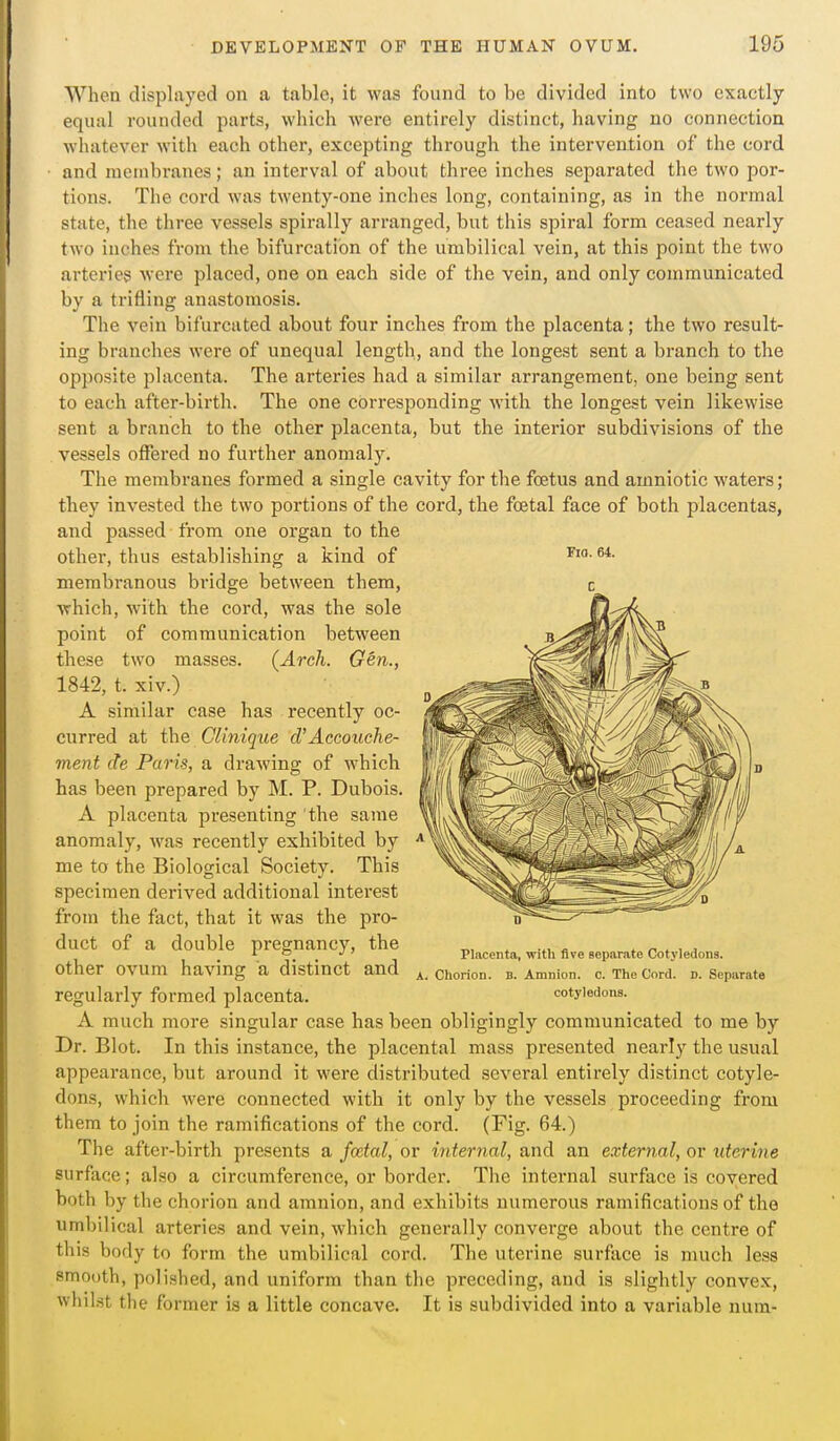 When disphiyed on a table, it was found to be divided into two exactly equal rounded parts, which were entirely distinct, having no connection whatever with each other, excepting through the intervention of the cord and luenibranes; an interval of about three inches sejiarated the two por- tions. The cord was twenty-one inches long, containing, as in the normal state, the three vessels spirally arranged, but this spiral form ceased nearly two inches from the bifurcation of the umbilical vein, at this point the two arteries were placed, one on each side of the vein, and only communicated by a trifling anastomosis. The vein bifurcated about four inches from the placenta; the two result- ing branches were of unequal length, and the longest sent a branch to the opposite placenta. The arteries had a similar arrangement, one being sent to each after-birth. The one corresponding with the longest vein likewise sent a branch to the other placenta, but the interior subdivisions of the vessels offei'ed no further anomaly. The membranes formed a single cavity for the foetus and amniotic waters; they invested the two portions of the cord, the foetal face of both placentas, and passed from one organ to the other, thus establishing a kind of membranous bridge between them, which, with the cord, was the sole point of communication between these two masses. (Arch. Gen., 1842, t. xiv.) A similar case has recently oc- curred at the Clinique cVAccouche- ment de Paris, a drawing of which has been prepared by M. P. Dubois. A placenta presenting the same anomaly, was recently exhibited by me to the Biological Society. This specimen derived additional interest from the fact, that it was the pro- duct of a double pregnancy, the other ovum having a distinct and regularly formed placenta. A much more singular case has been obligingly communicated to me by Dr. Blot. In this instance, the placental mass presented nearly the usual appearance, but around it were distributed several entirely distinct cotyle- dons, which were connected with it only by the vessels proceeding from them to join the ramifications of the cord. (Fig. 64.) The after-birth presents a foetal, or internal, and an external, or uterine surface; also a circumference, or border. The internal surface is covered both by the chorion and amnion, and exhibits numerous ramifications of the umbilical arteries and vein, which generally converge about the centre of this body to form the umbilical cord. The uterine surface is much less smooth, poli.shed, and uniform than the preceding, and is slightly convex, whilst the former is a little concave. It is subdivided into a variable nura- Fio. 64. C Placenta, with five separate Cotyledona. A, Chorion. B. Amnion, c. The Cord. D. Separate