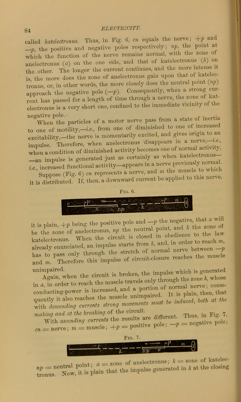 84 called katelectronus. Thus, in Tig. 6, cn equals the nerve; +p and _p, the positive and negative poles respectively; np, the point at which the function of the nerve remains normal, with the zone o anelectronus (a) on the one side, and that of katelectronus (A) on the other. The longer the current continues, and the more intense it is the more does the zone of anelectronus gain upon that of katelec- tronus or, in other words, the more closely does the neutral point (np) approach the negative pole (-p). Consequently, when a strong cur- rent has passed for a length of time through a nerve, the zone of kat- electronus is a very short one, confined to the immediate vicinity of the neSWhenPthe particles of a motor nerve pass from a state of inertia to one of motility,—he., from one of diminished to one of increased excitability,—the nerve is momentarily excited, and gives origin to an impulse. Therefore, when anelectronus disappears m a n®rve, w., when a condition of diminished activity becomes one of normal activity, —an impulse is generated just as certainly as when katelectronus— i.e. increased functional activity-appears in a nerve previously normal ’ Suppose (Fig. 6) cn represents a nerve, and m the muse e o vr it is distributed If, then, a downward current be applied to this nerve, Fig. 6. it is plain. +, being the positive pole and -* •ss=J2r. trtz sisrsrx with descending currents strong movements must b making and at the breaking of the circuit. Thus ju Fig. 7, With ascending currents the results ate different Thu^ m m = nerve; m = muscle; +J> = positive pole, -p - m. Fig. , • + . n _ Zonc of anelectronus; k = zone of katelec-