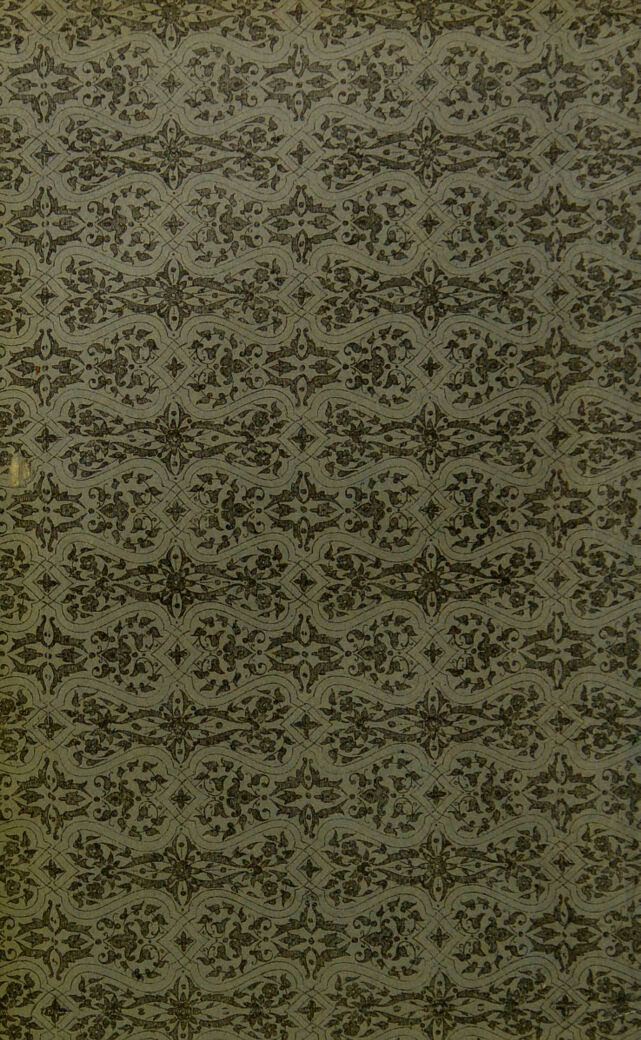 digitised image 2