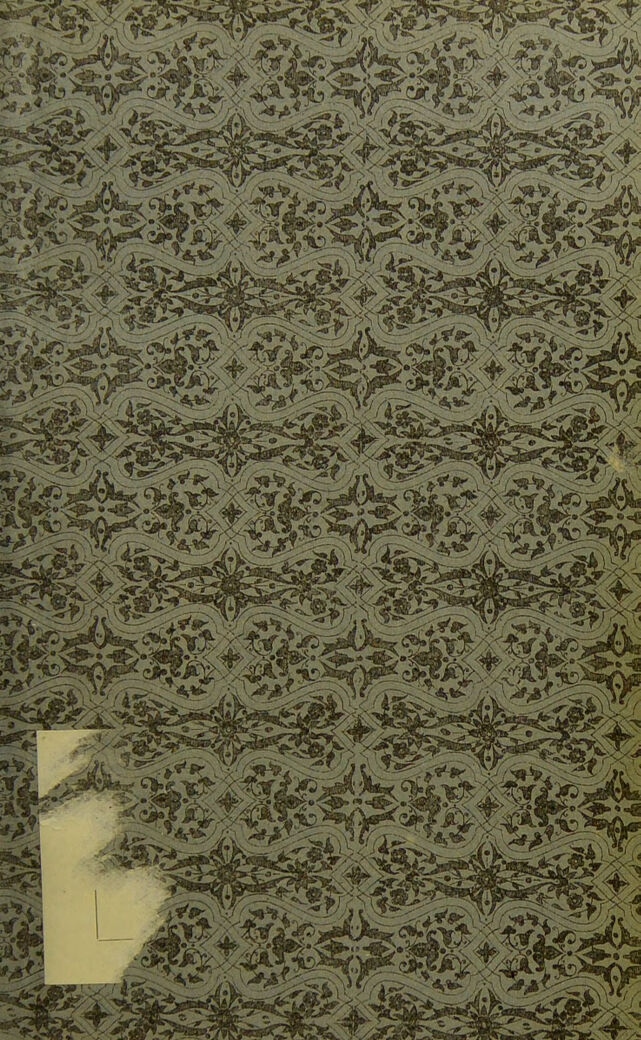 digitised image 3