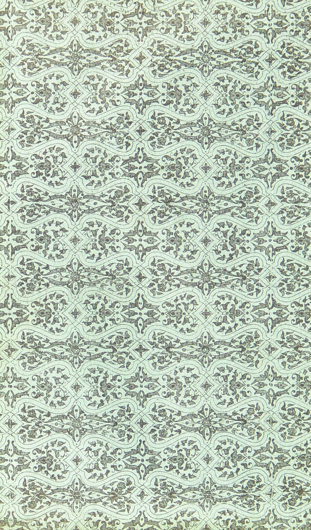 digitised image 2