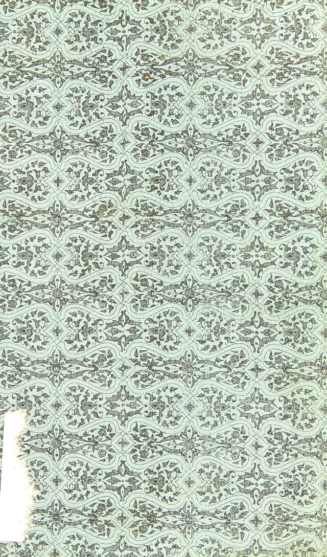 digitised image 3