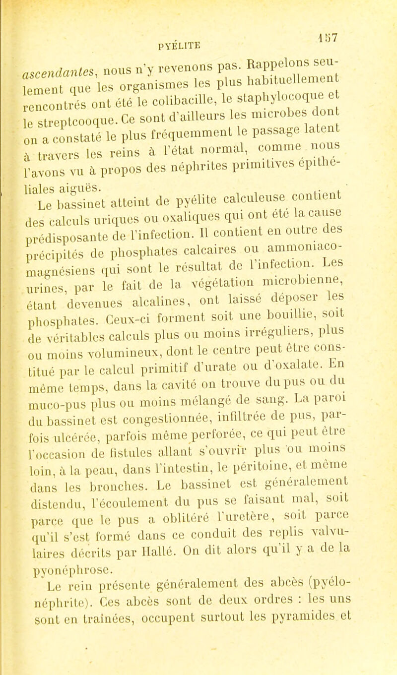 ascendantes, nous n'y revenons pas. Rappelons seu- îe^n ue es organismes les pins habitnellemen enconlrés ont été le colibacille, le staphylocoque e e s replcooque. Ce sont d'ailleurs les microbes don on a constaté le plus fréquemment le passage laten à travers les reins à l'état normal, comme nous 1-avons vu à propos des néphrites primitives epithe- ^'te baslnet atteint de pyélite calculeuse contient des calculs uriques ou oxaliques qui ont été la cause prédisposante de l'infection. Il contient en outre des précipités de phosphates calcaires ou ammomaco- magnésiens qui sont le résultat de l'infection. Les urines, par le fait de la végétation microbienne, étant devenues alcalines, ont laissé déposer les phosphates. Ceux-ci forment soit une bouillie, soit de véritables calculs plus ou moins irréguliers, plus ou moins volumineux, dont le centre peut être cons- titué par le calcul primitif d'urate ou d'oxalate. En même temps, dans la cavité on trouve du pus ou du muco-pus plus ou moins mélangé de sang. La paroi du bassinet est congestionnée, infiltrée de pus, par- fois ulcérée, parfois même perforée, ce qui peut être l'occasion de fistules allant s'ouvrir plus ou moins loin, H la peau, dans fintestin, le péritoine, et même dans les bronches. Le bassinet est généralement distendu, fécoulement du pus se faisant mal, soit parce que le pus a oblitéré l'uretère, soit parce qu'il s'est formé dans ce conduit des replis valvu- laires décrits par Ilallé. On dit alors qu'il y a de la pyonéphrose. Le rein présente généralement des abcès (pyélo- néphritc). Ces abcès sont de deux ordres : les uns sont en traînées, occupent surtout les pyramides et