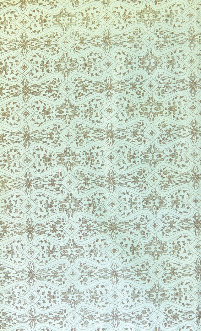 digitised image 2