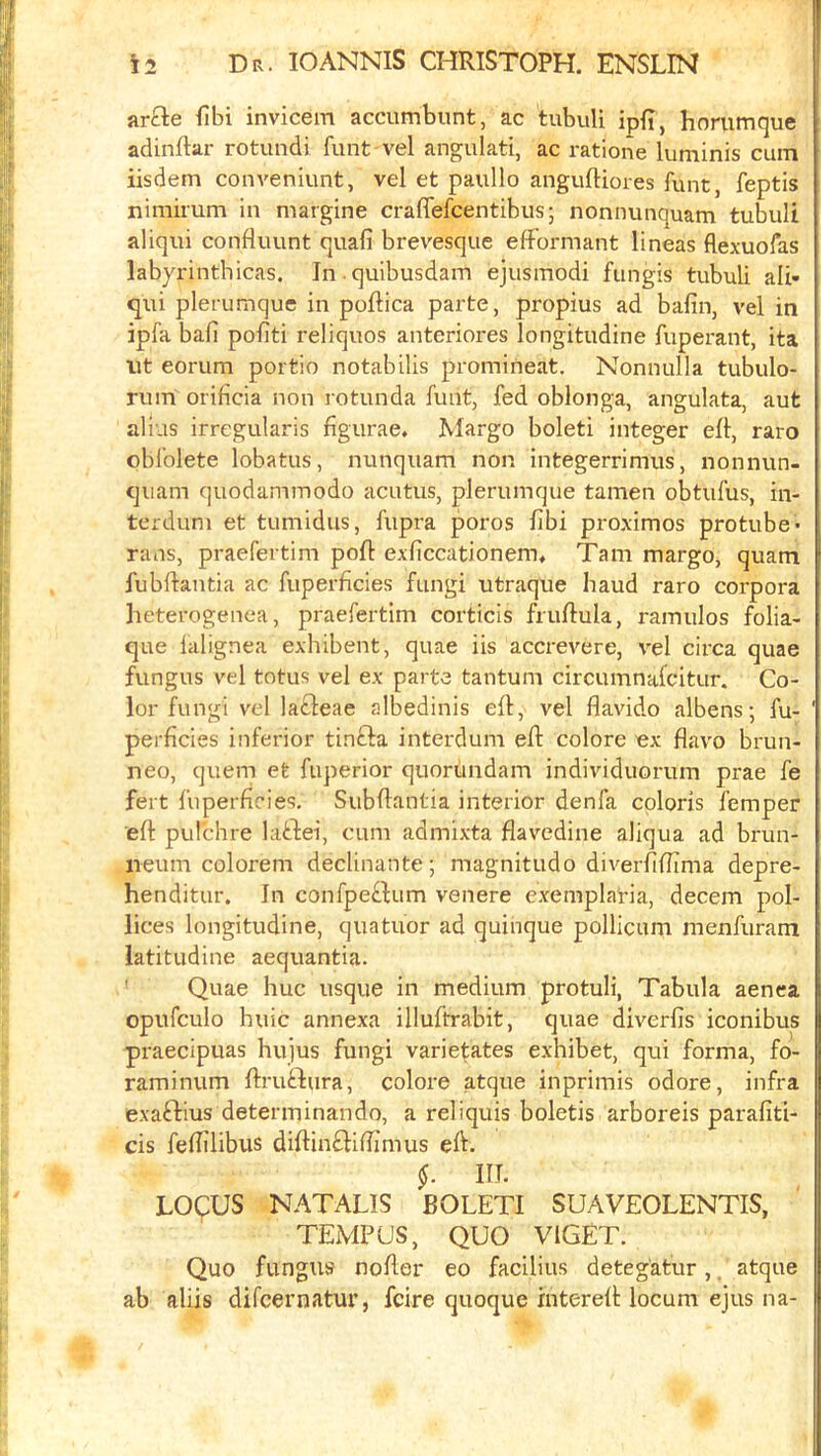 arfte fibi invicein accumbunt, ac tubuli ipfi, horumque adinftar rotundi funt vel angulati, ac ratione luminis cum iisdem conveniunt, vel et paullo anguftiores funt, feptis nimirum in margine cralTefcentibus; nonnunquam tubuli aliqui confluunt quafi brevesque efFormant lineas flexuofas labyrinthicas. In • quibusdam ejusmodi fungis tubuli ali- qui plerurnque in poffica parte, propius ad bafin, vel in ipfa ball politi reliquos anteriores longitudine fuperant, ita lit eorum portio notabilis promineat. Nonnulla tubulo- rum orificia non rotunda funt, fed oblonga, angulata, aut alius irregularis figurae. Margo boleti integer eft, raro obfolete lobatus, nunquam non integerrimus, nonnun- quam quodammodo acutus, plerurnque tamen obtufus, in- terdum et tumidus, fupra poros fibi proximos protube- rans, praefertim poft exficcationem, Tam margo, quam fubfiantia ac fuperficies fungi utraque baud raro corpora heterogenea, praefertim corticis fruftula, ramulos folia- que falignea exhibent, quae iis accrevere, vel circa quae fungus vel totus vel ex parte tantum circumnafcitur. Co- lor fungi vel laFleae albedinis efi, vel flavido albens; fu- perficies inferior tinfta interdum efi: colore 'ex flavo brun- neo, quern et fuperior quorundam individuorum prae fe fert fuperficies, Subfiantia interior denfa colons femper eft pulchre latlei, cum admixta flavedine aliqua ad brun- iieum colorem declinante; magnitudo diverfifiima depre- henditur. In confpeFlum venere exemplat-ia, decern pol- lices longitudine, quatuor ad quinque pollicum menfuram latitudine aequantia. ' Quae hue usque in medium protuli, Tabula aenca opufculo huic annexa illuftrabit, quae diverfis iconibus praecipuas hujus fungi varietates exhibet, qui forma, fo- raminum ftruftura, colore atque inprimis odore, infra exaftius determinando, a reliquis boletis arboreis parafiti- cis fefiilibus diftin£lifiimus eft. §. III. LOgUS NATALIS BOLETI SUAVEOLENTIS, TEMP US, QUO VIGET. Quo fungus nofter eo facilius detegatur,. atque ab aliis difeernatur, feire quoque intereft locum ejus na-